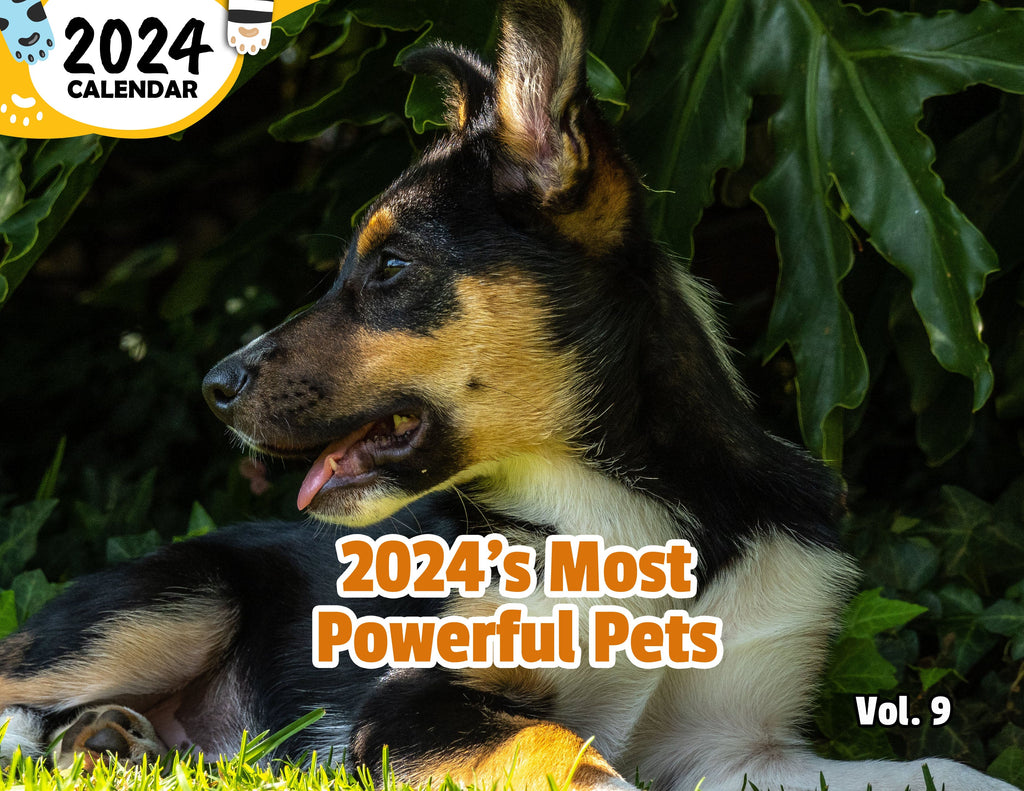 2024's Most Powerful Pets Volume Nine: 2024 Wall Calendar (Published)