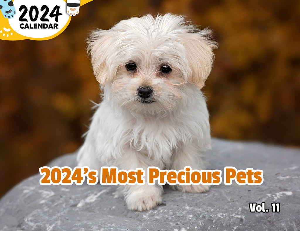 2024's Most Precious Pets Volume Eleven: 2024 Wall Calendar (Published)