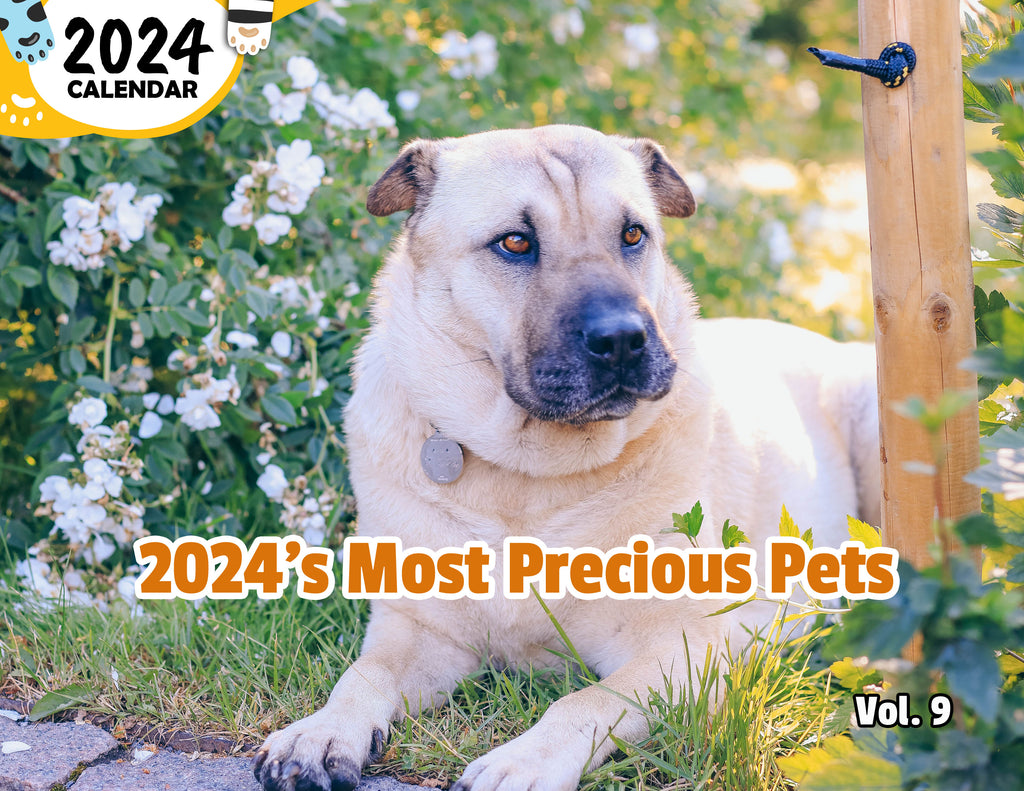 2024's Most Precious Pets Volume Nine: 2024 Wall Calendar (Published)