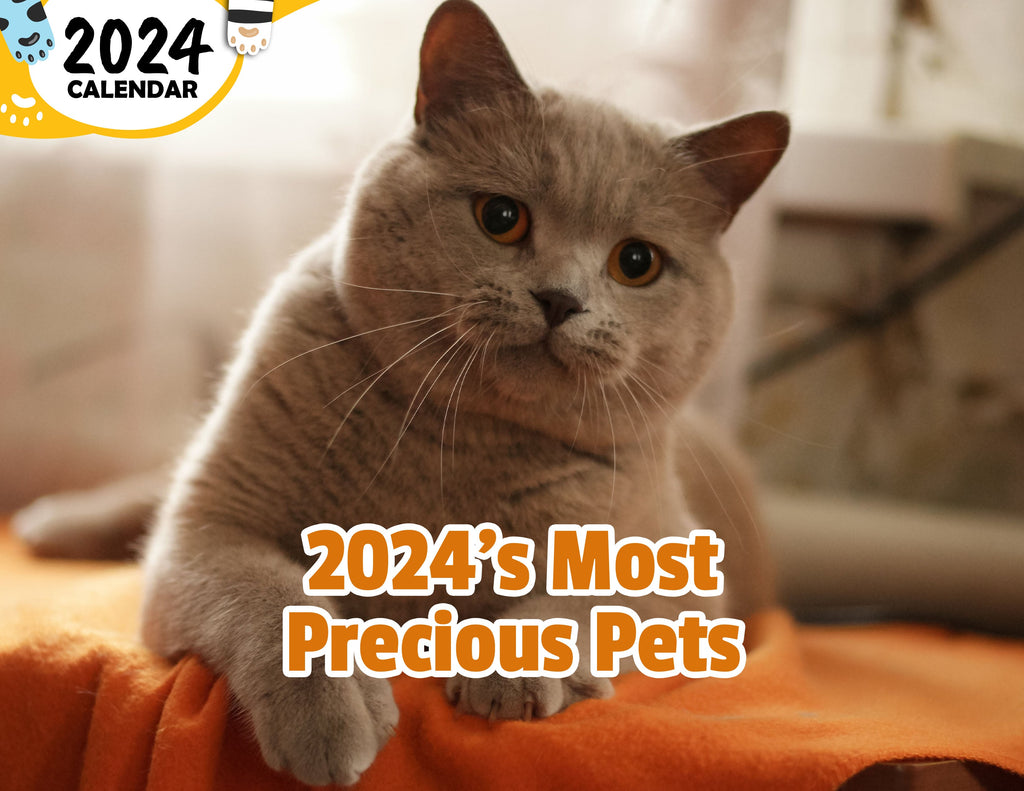 2024's Most Precious Pets: 2024 Wall Calendar (Published)