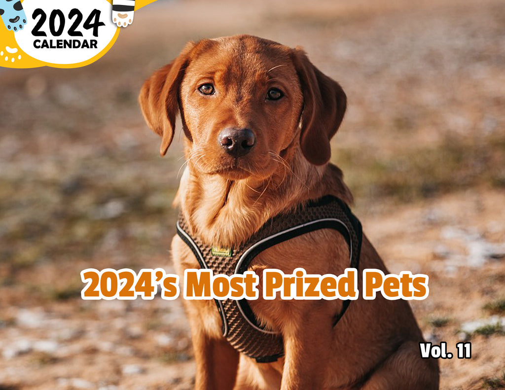2024's Most Prized Pets Volume Eleven: 2024 Wall Calendar (Published)