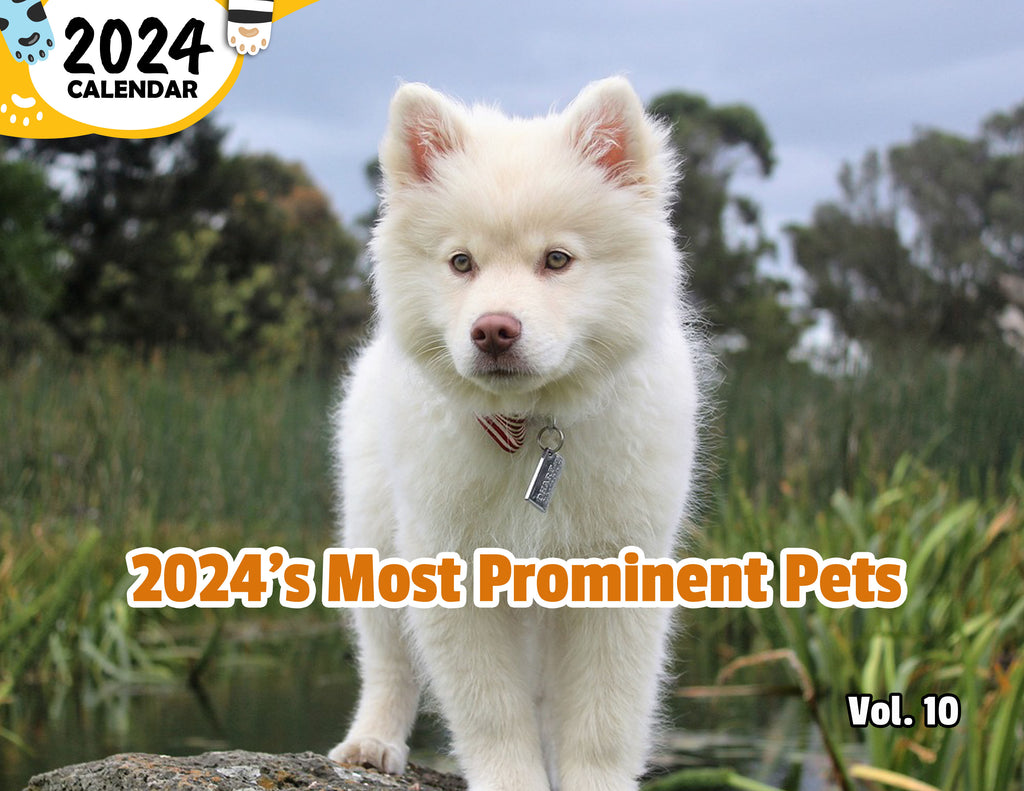 2024's Most Prominent Pets Volume Ten: 2024 Wall Calendar (Published)
