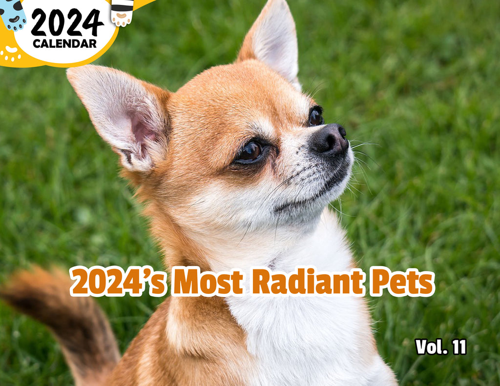 2024's Most Radiant Pets Volume Eleven: 2024 Wall Calendar (Published)