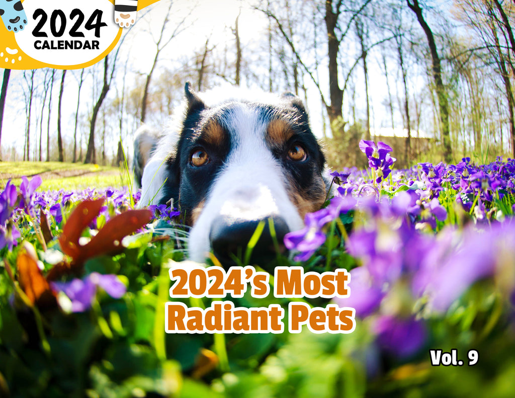 2024's Most Radiant Pets Volume Nine: 2024 Wall Calendar (Published)