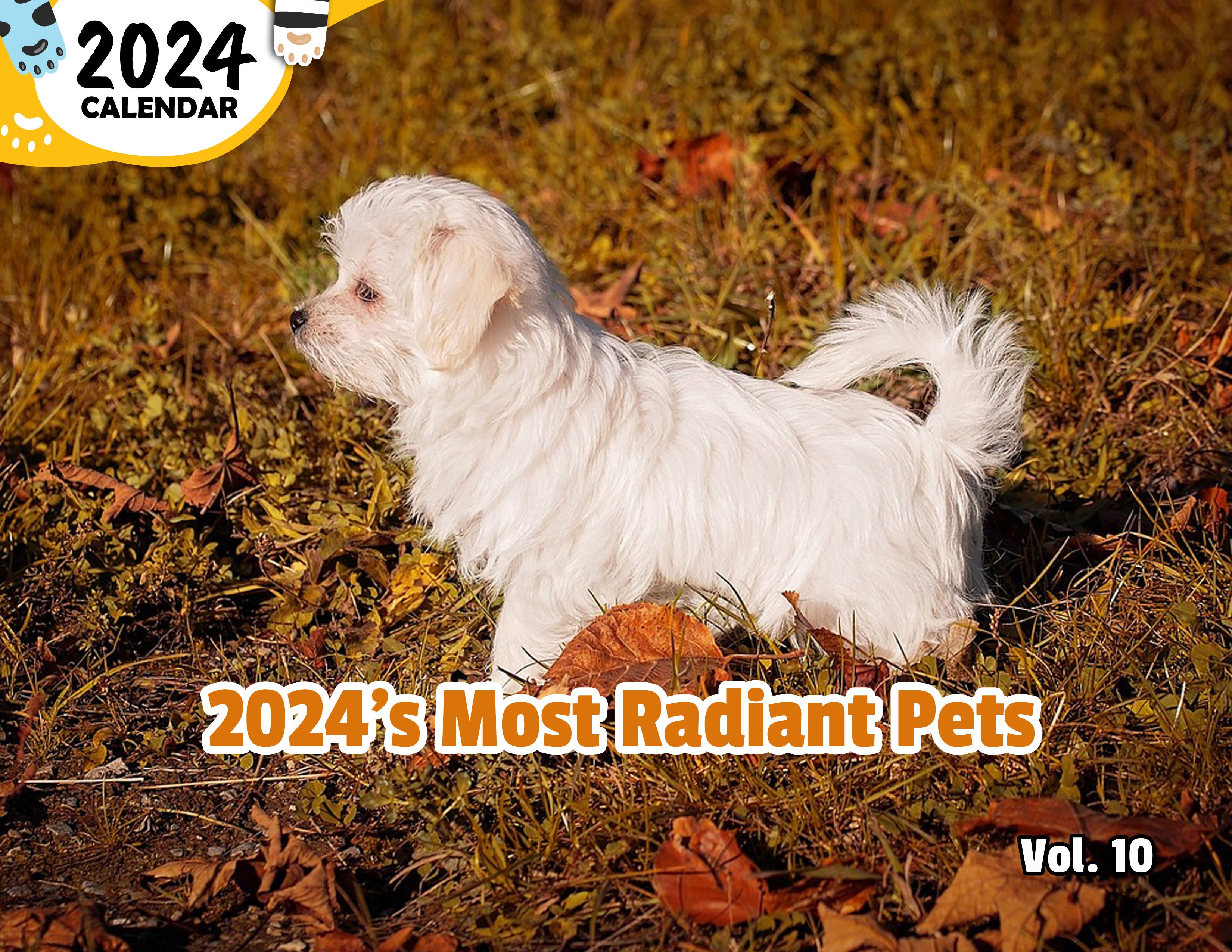 2024's Most Radiant Pets Volume Ten: 2024 Wall Calendar (Published)