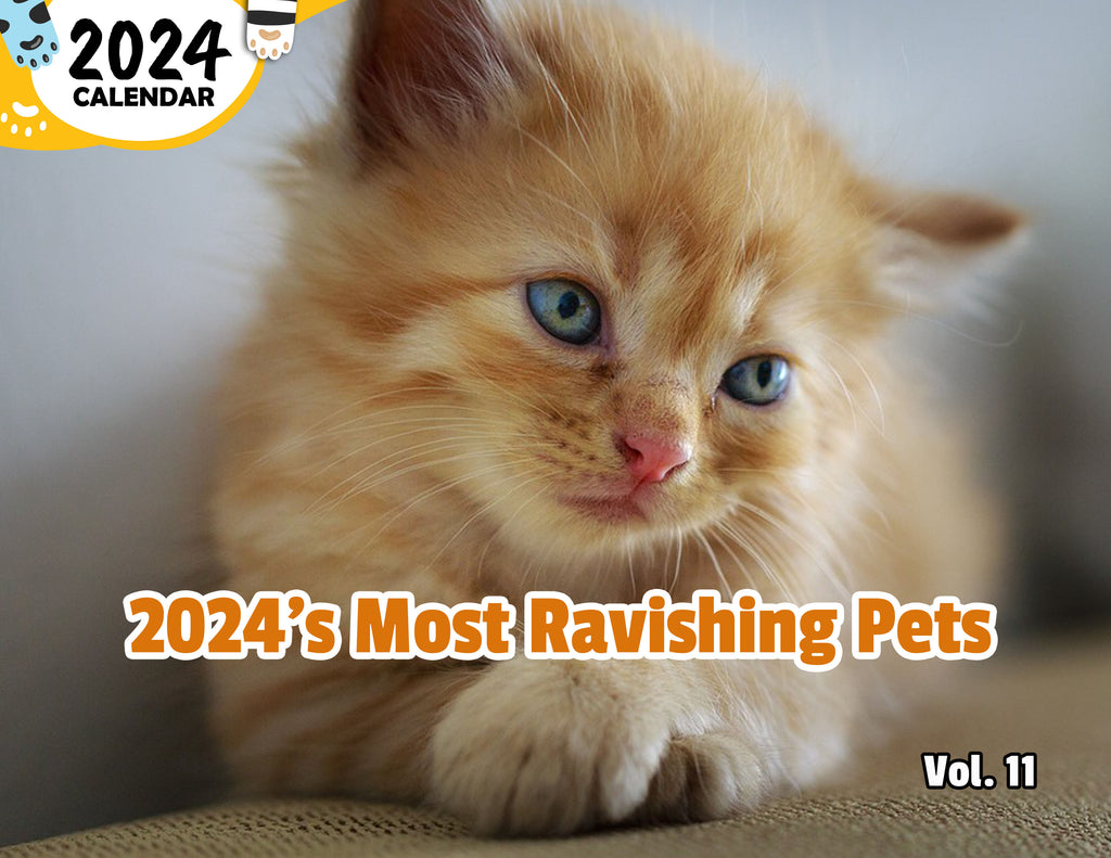 2024's Most Ravishing Pets Volume Eleven: 2024 Wall Calendar (Published)