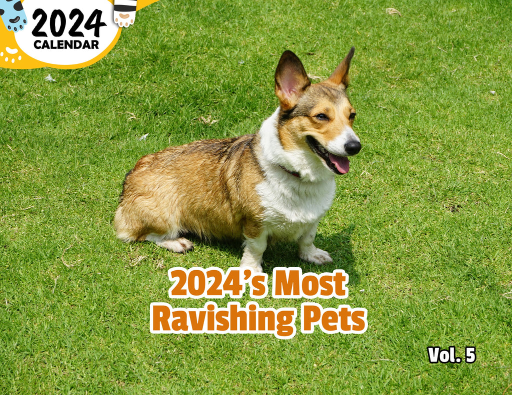 2024's Most Ravishing Pets Volume Five: 2024 Wall Calendar (Published)
