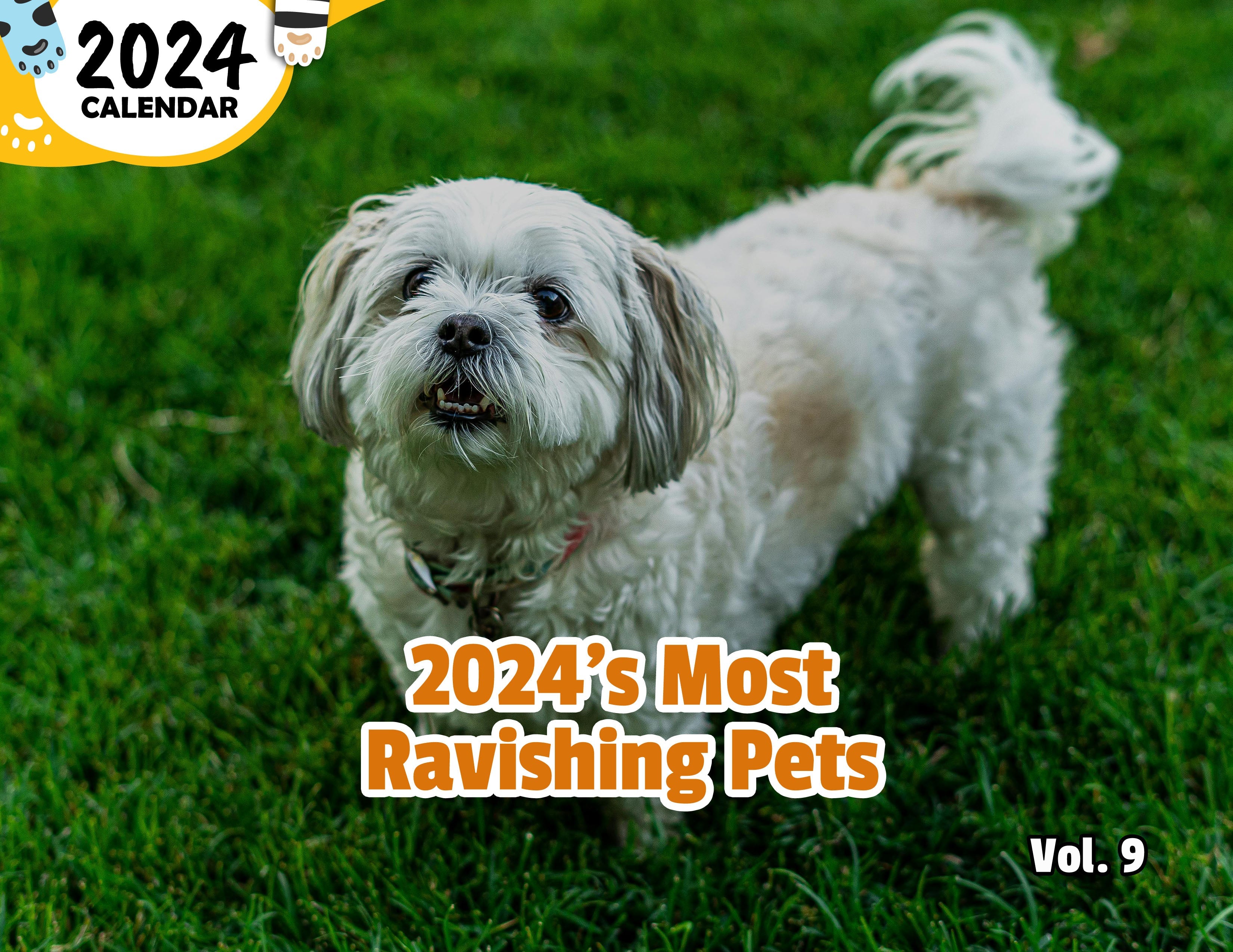 2024's Most Ravishing Pets Volume Nine: 2024 Wall Calendar (Published)