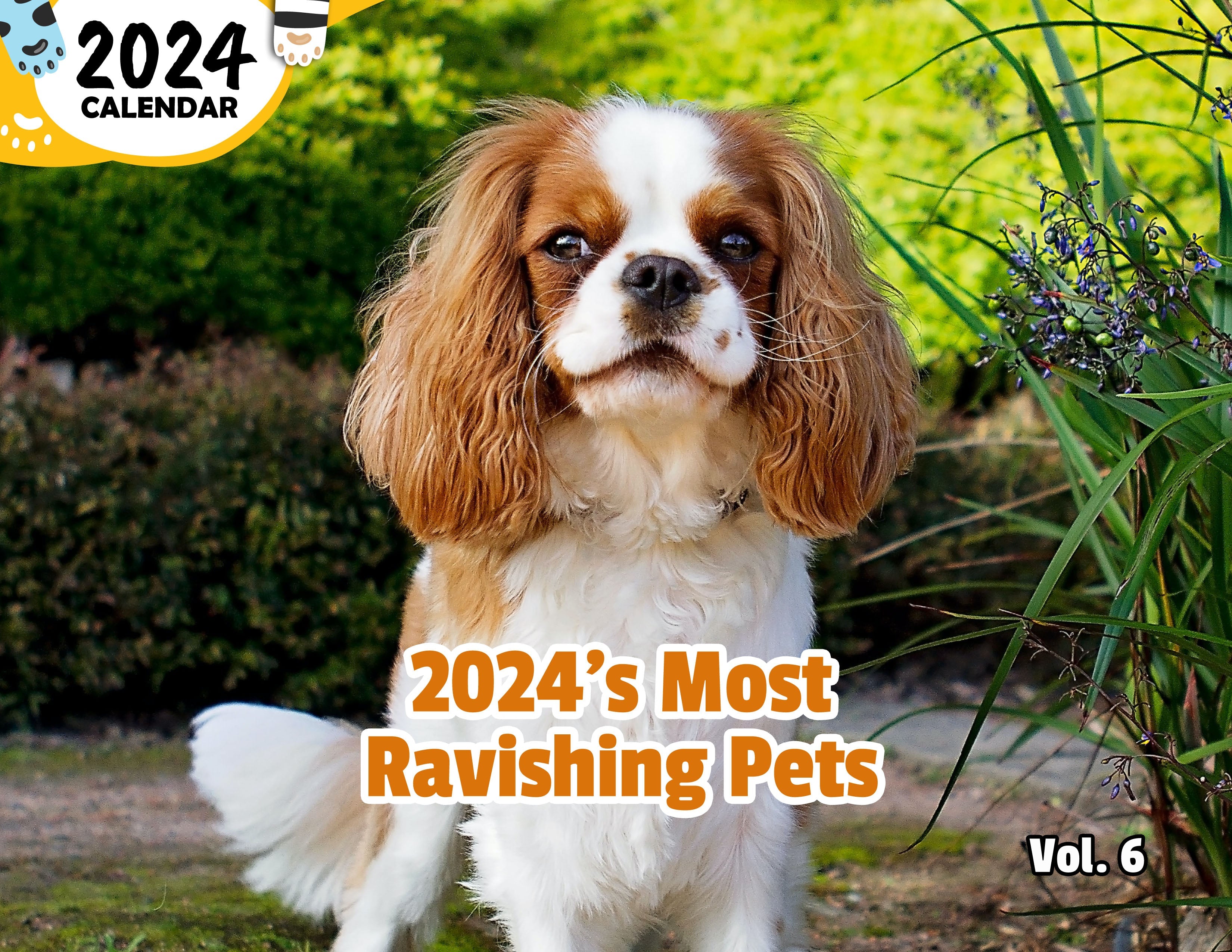 2024's Most Ravishing Pets Volume Six: 2024 Wall Calendar (Published)