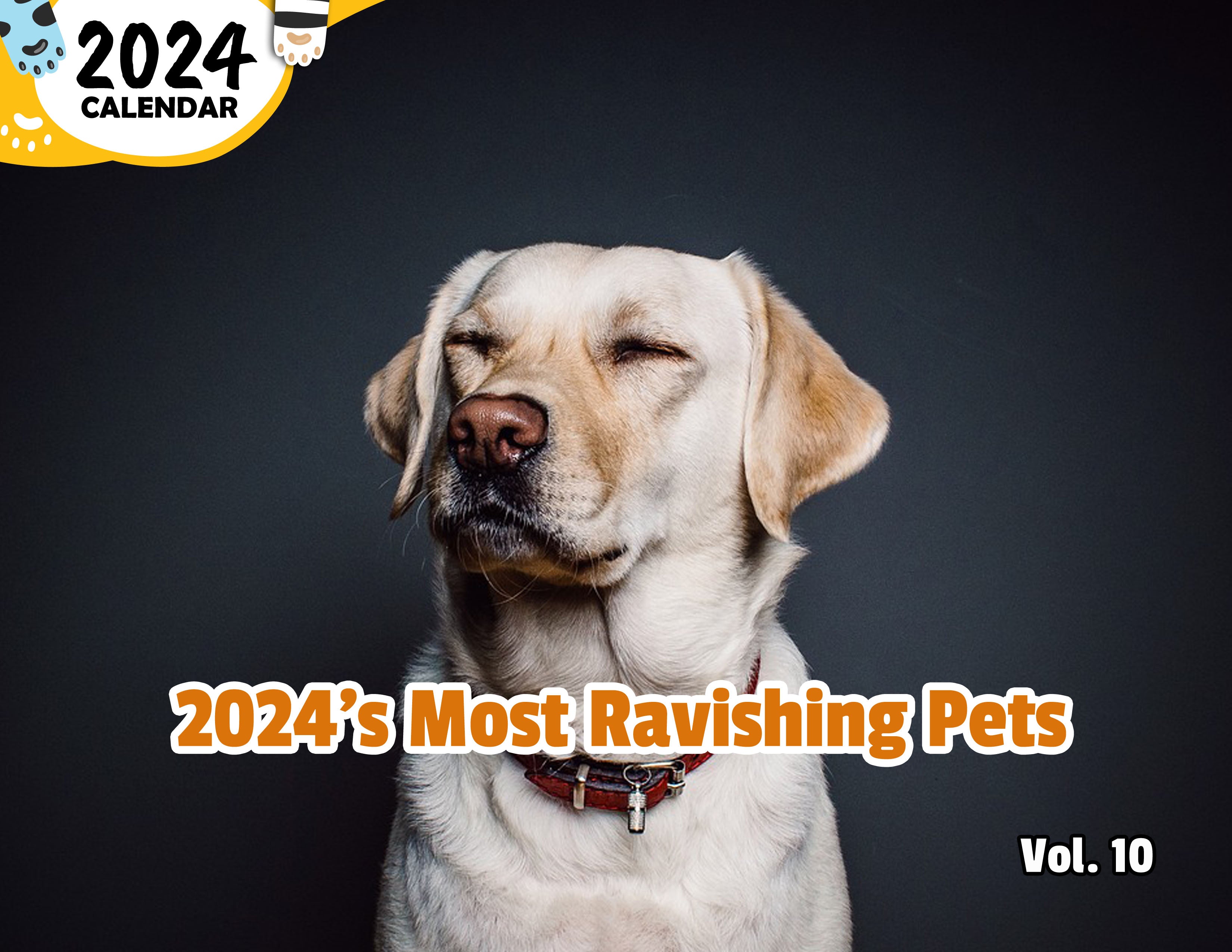 2024's Most Ravishing Pets Volume Ten: 2024 Wall Calendar (Published)