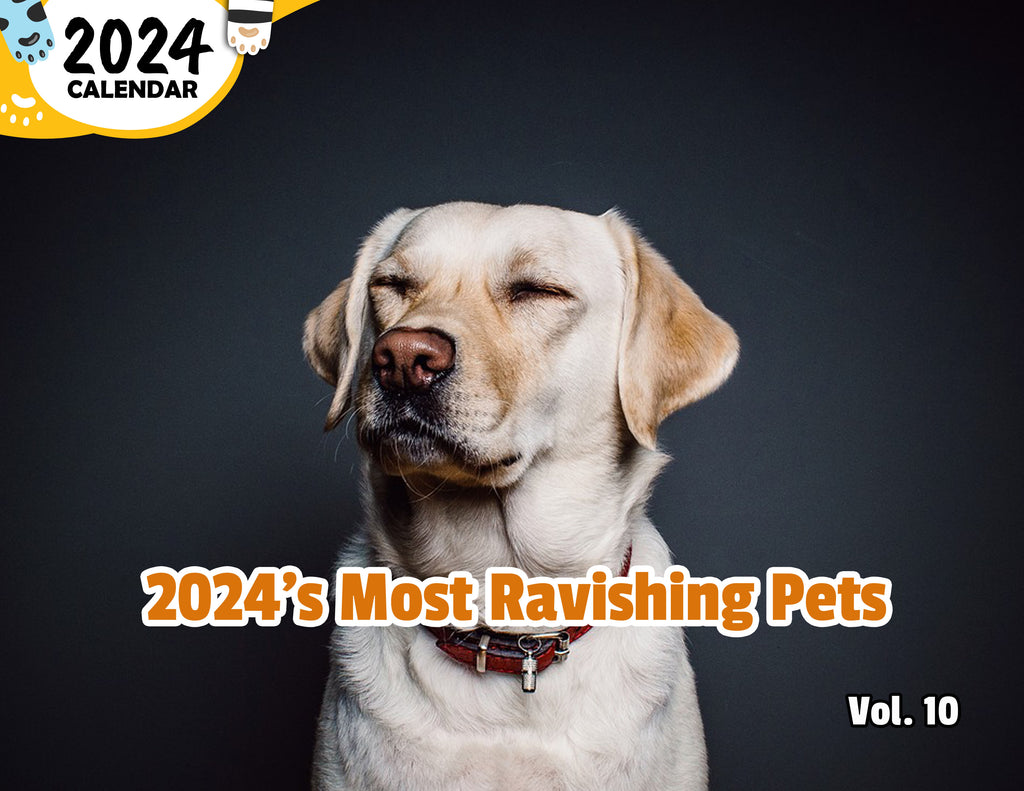 2024's Most Ravishing Pets Volume Ten: 2024 Wall Calendar (Published)