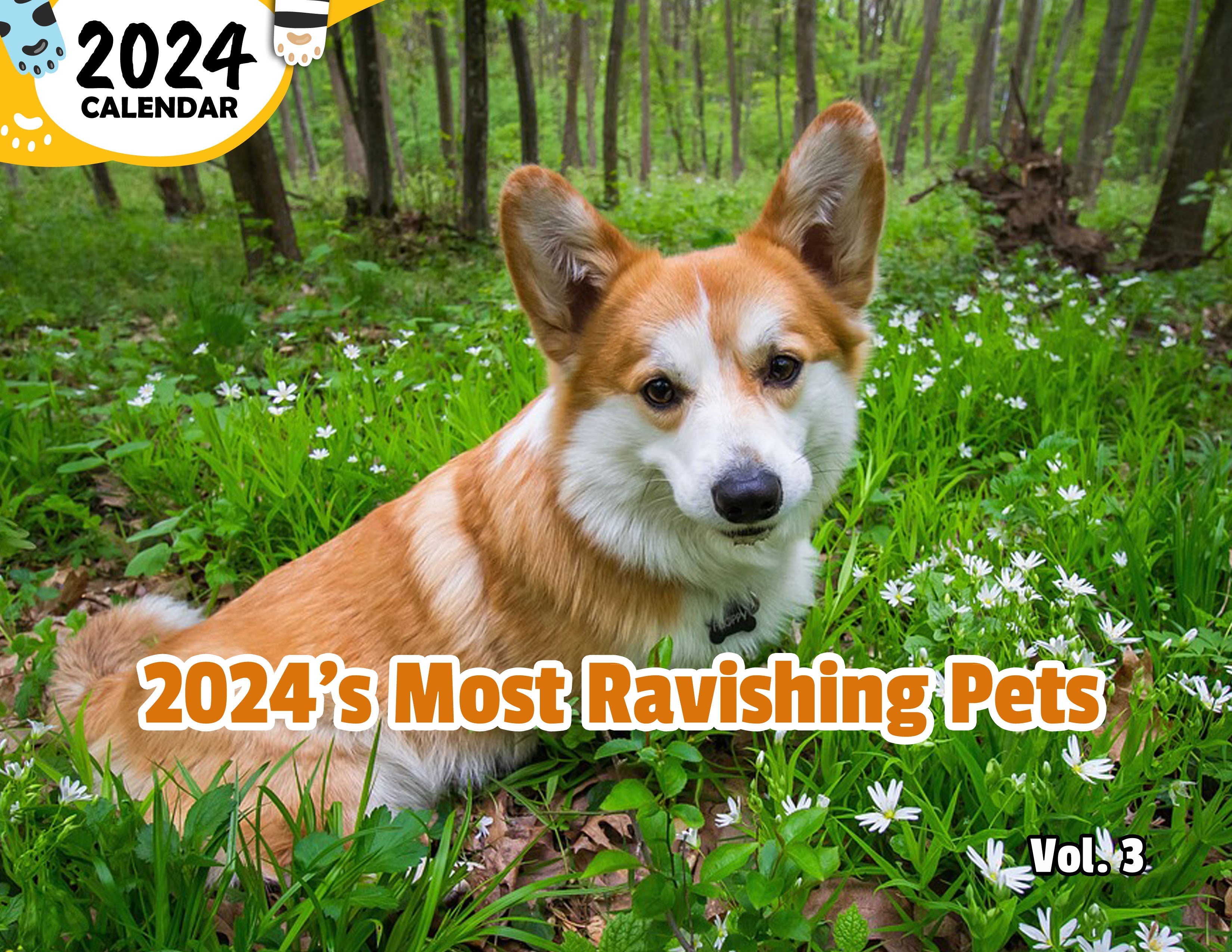 2024's Most Ravishing Pets Volume Three: 2024 Wall Calendar (Published)