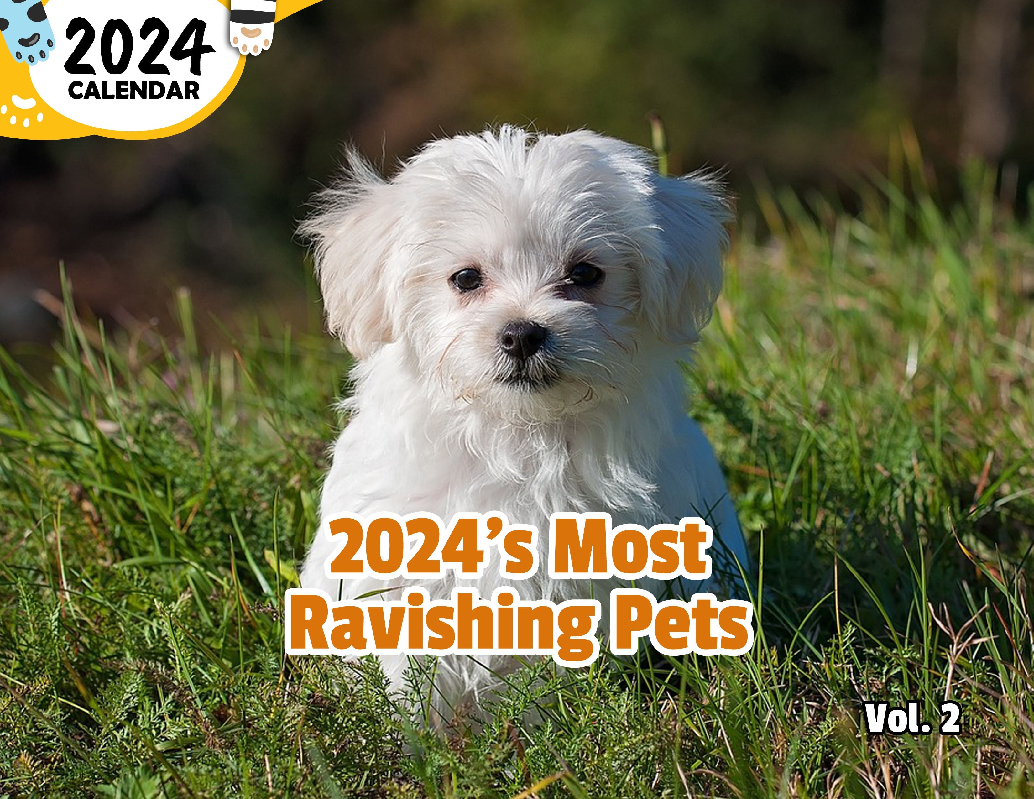 2024's Most Ravishing Pets Volume Two: 2024 Wall Calendar (Published)
