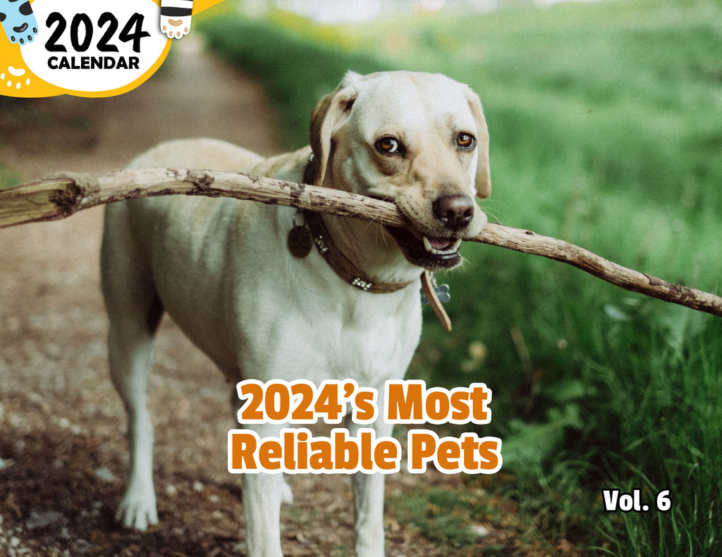 2024's Most Reliable Pets Volume Six: 2024 Wall Calendar (Published)