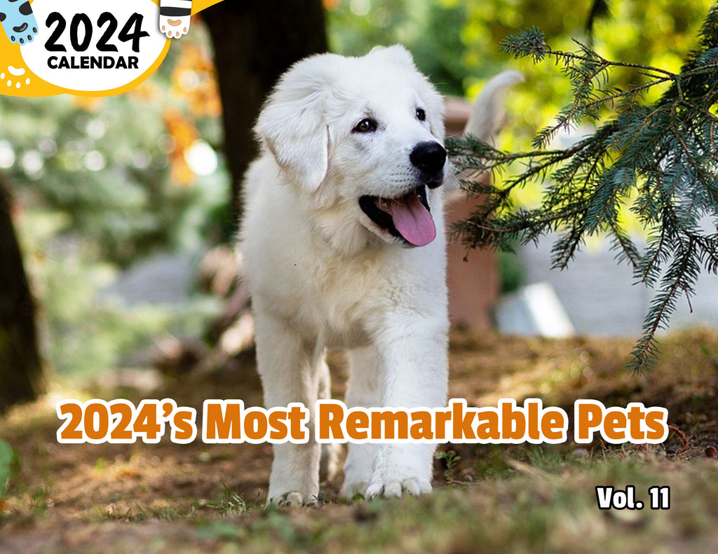 2024's Most Remarkable Pets Volume Eleven: 2024 Wall Calendar (Published)