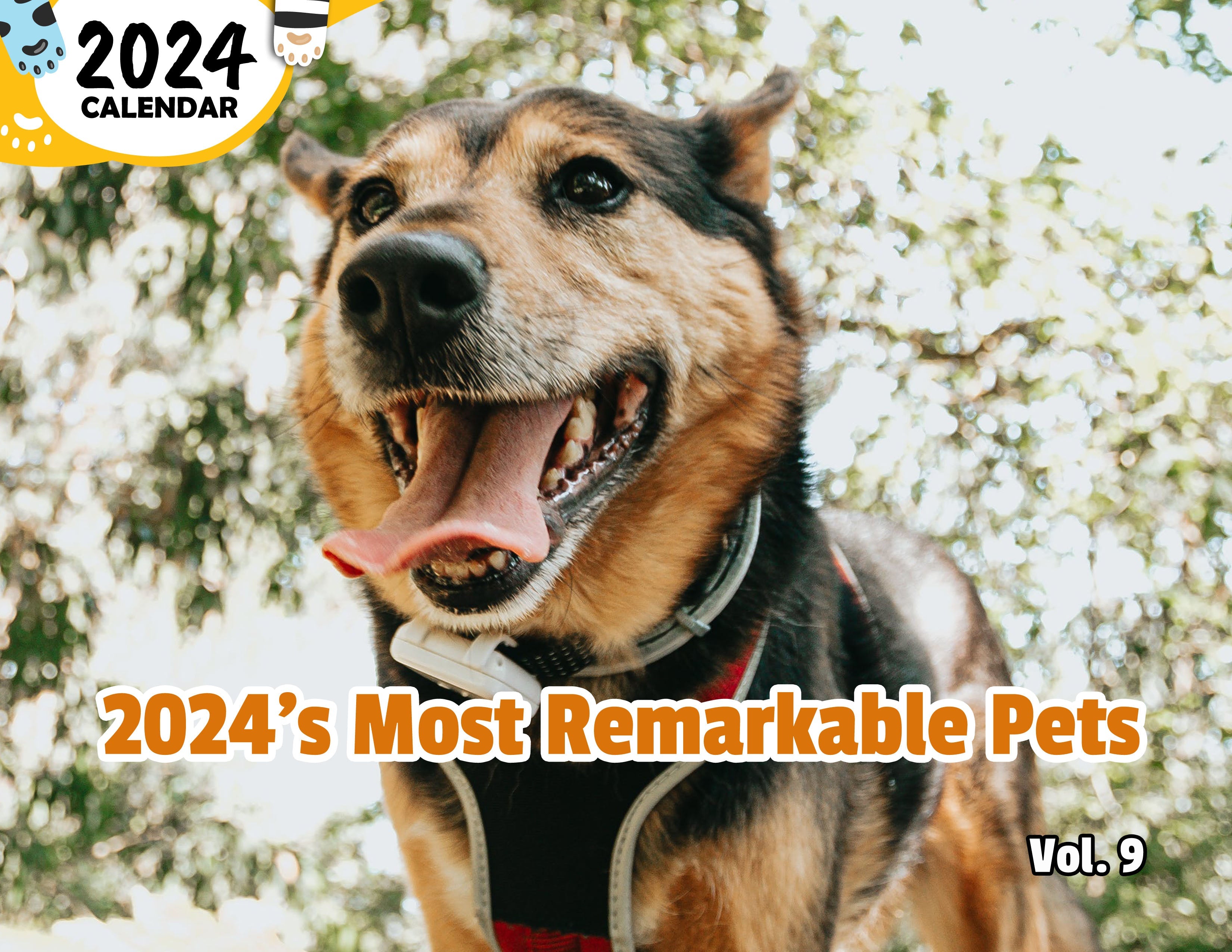 2024's Most Remarkable Pets Volume Nine: 2024 Wall Calendar (Published)
