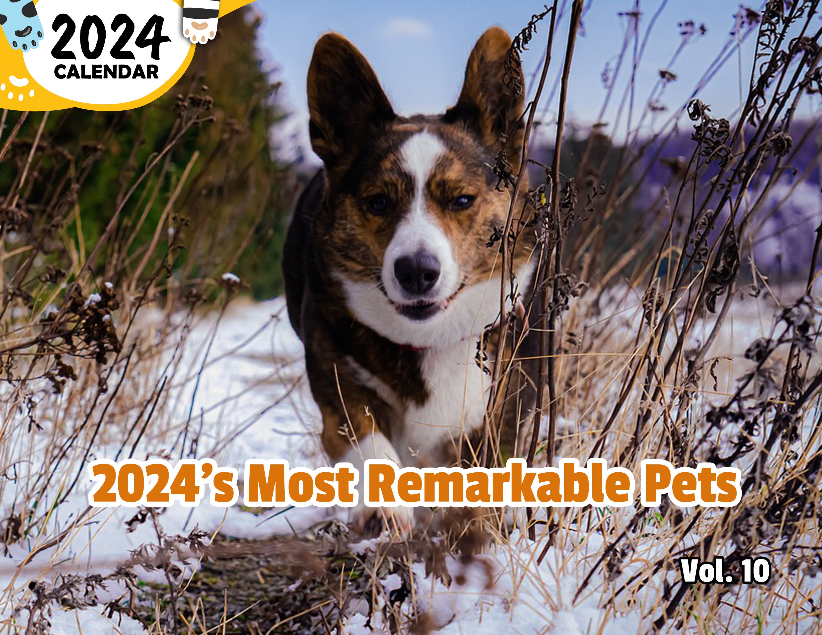 2024's Most Remarkable Pets Volume Ten: 2024 Wall Calendar (Published)