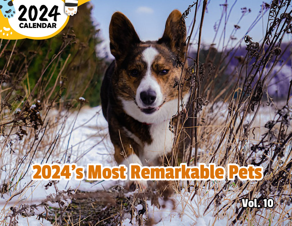 2024's Most Remarkable Pets Volume Ten: 2024 Wall Calendar (Published)