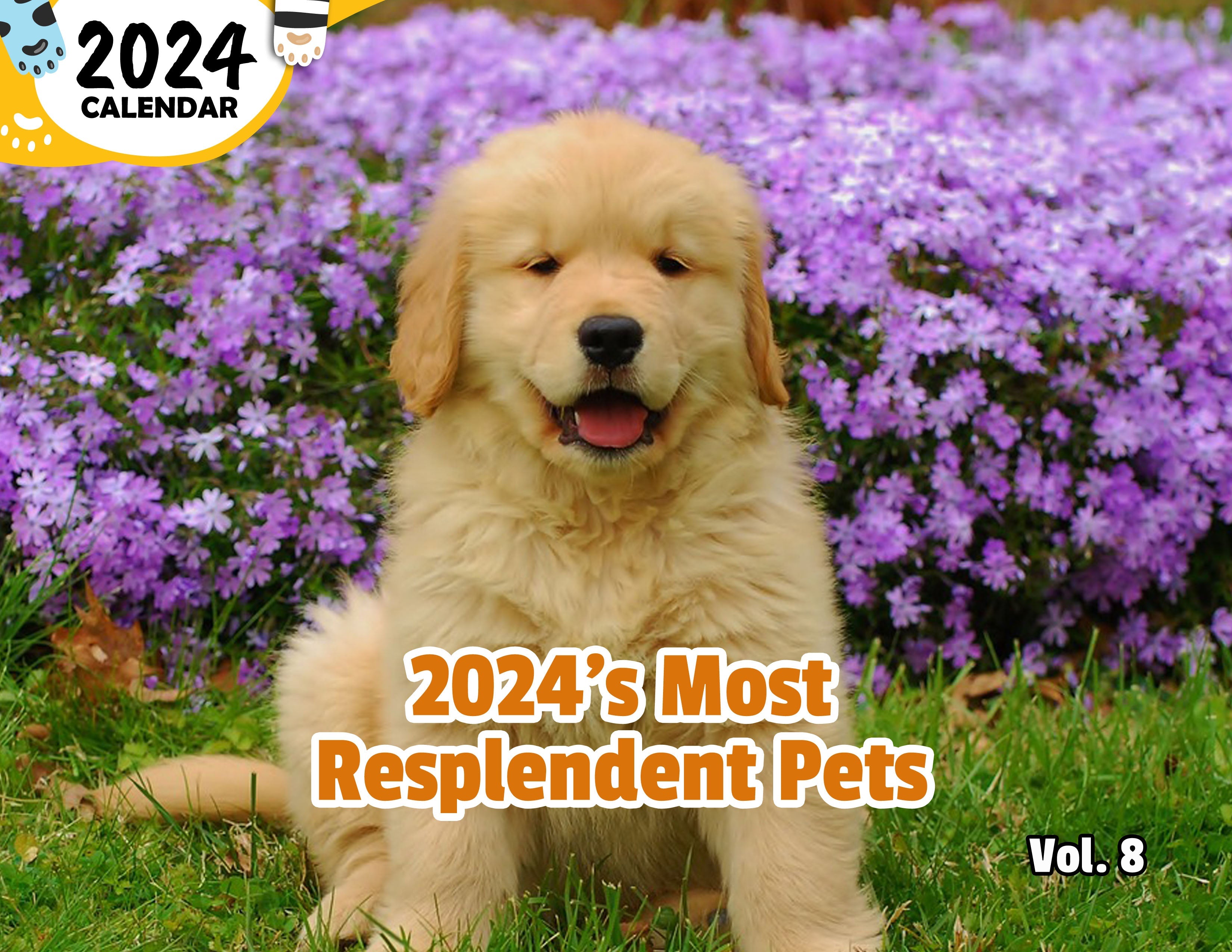 2024's Most Resplendent Pets Volume Eight: 2024 Wall Calendar (Published)