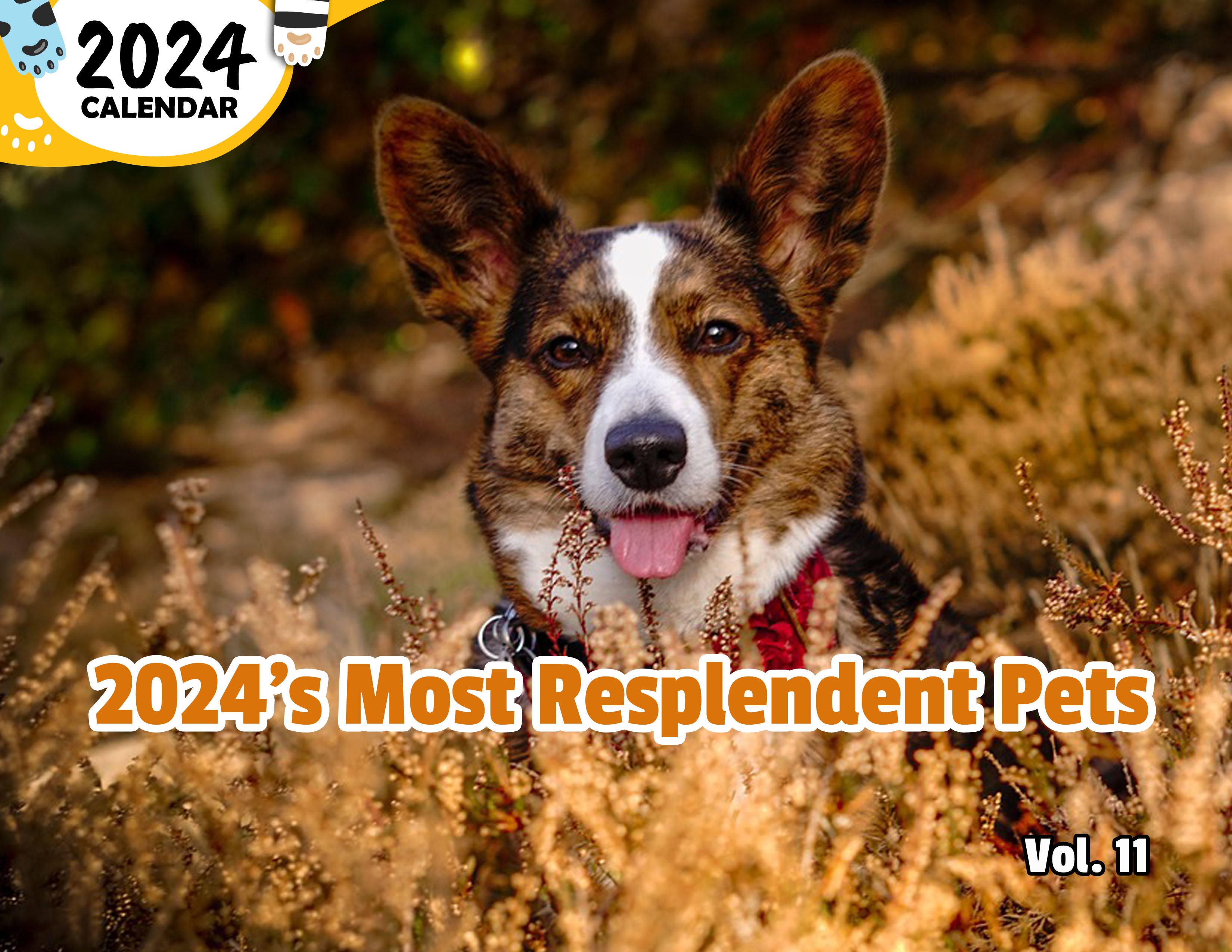 2024's Most Resplendent Pets Volume Eleven: 2024 Wall Calendar (Published)