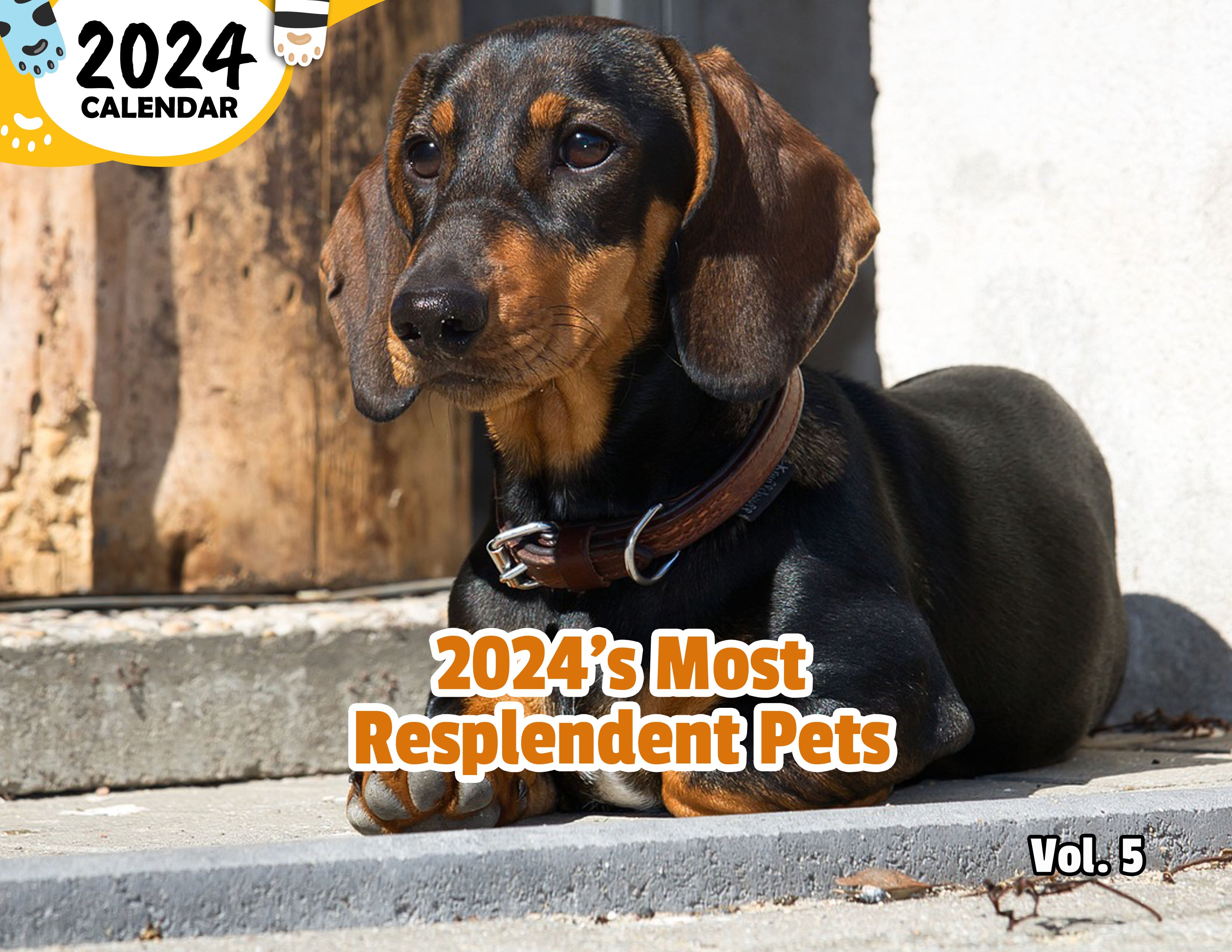 2024's Most Resplendent Pets Volume Five: 2024 Wall Calendar (Published)