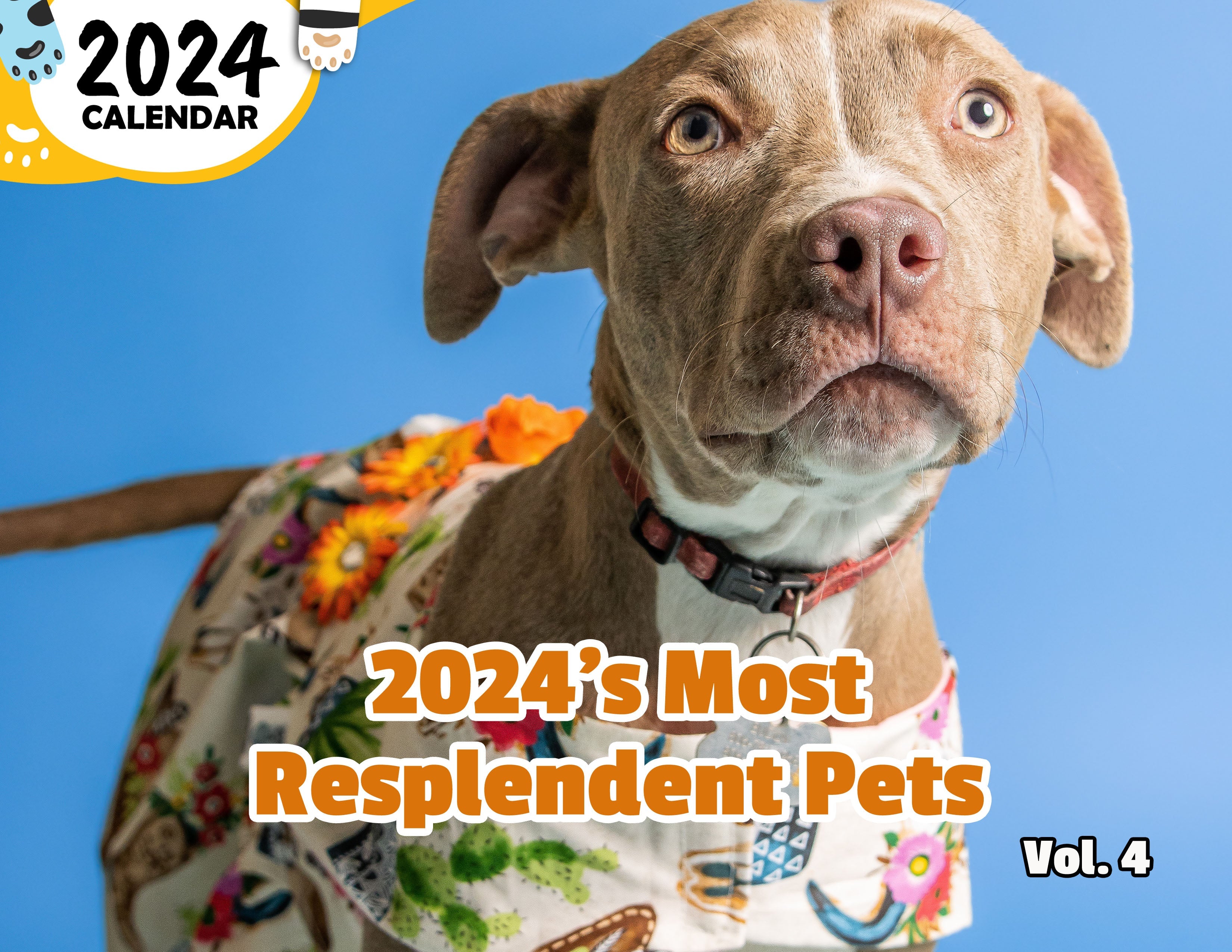 2024's Most Resplendent Pets Volume Four: 2024 Wall Calendar (Published)