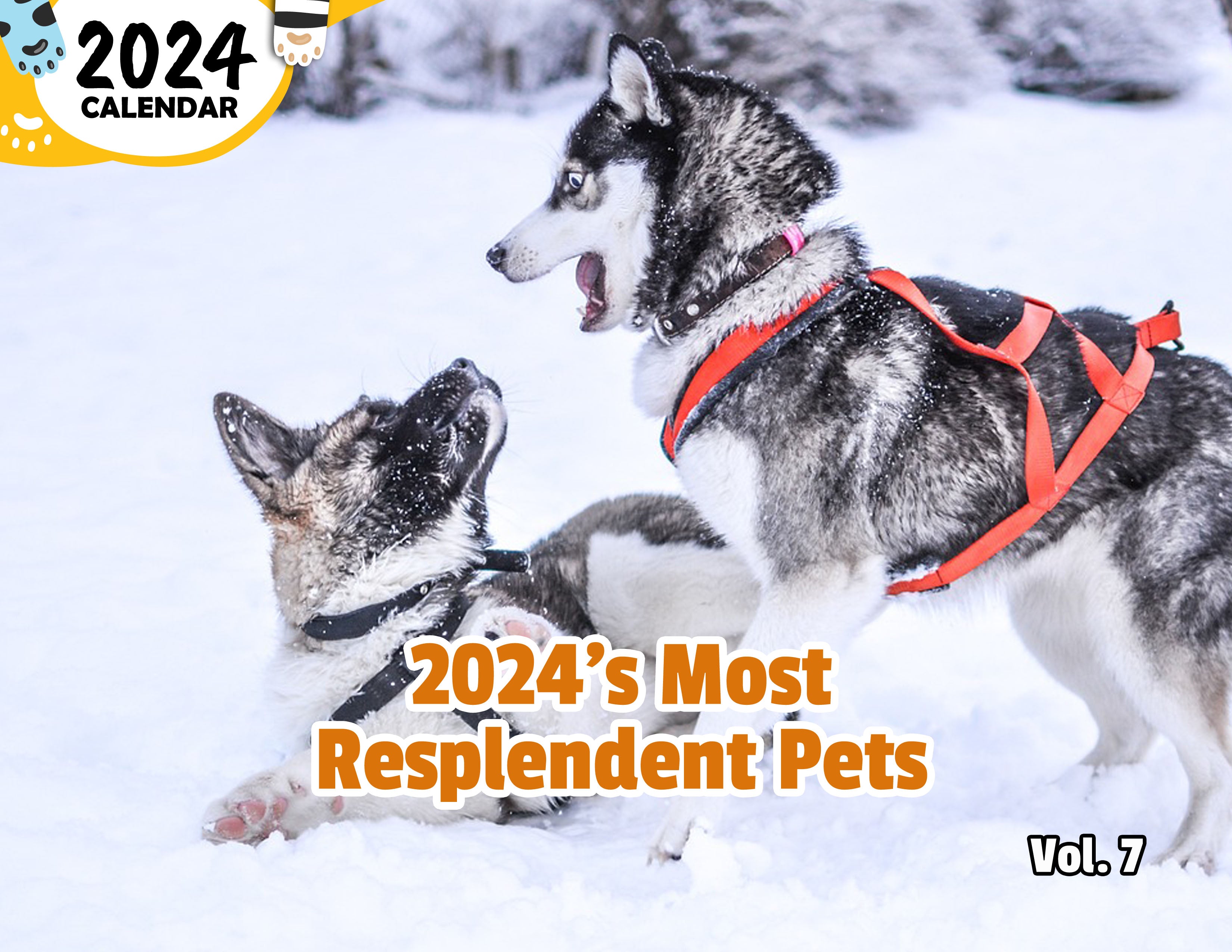 2024's Most Resplendent Pets Volume Seven: 2024 Wall Calendar (Published)