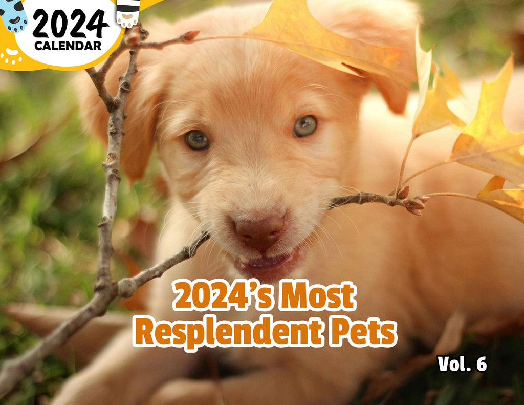 2024's Most Resplendent Pets Volume Six: 2024 Wall Calendar (Published)