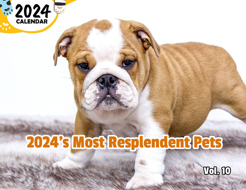 2024's Most Resplendent Pets Volume Ten: 2024 Wall Calendar (Published)