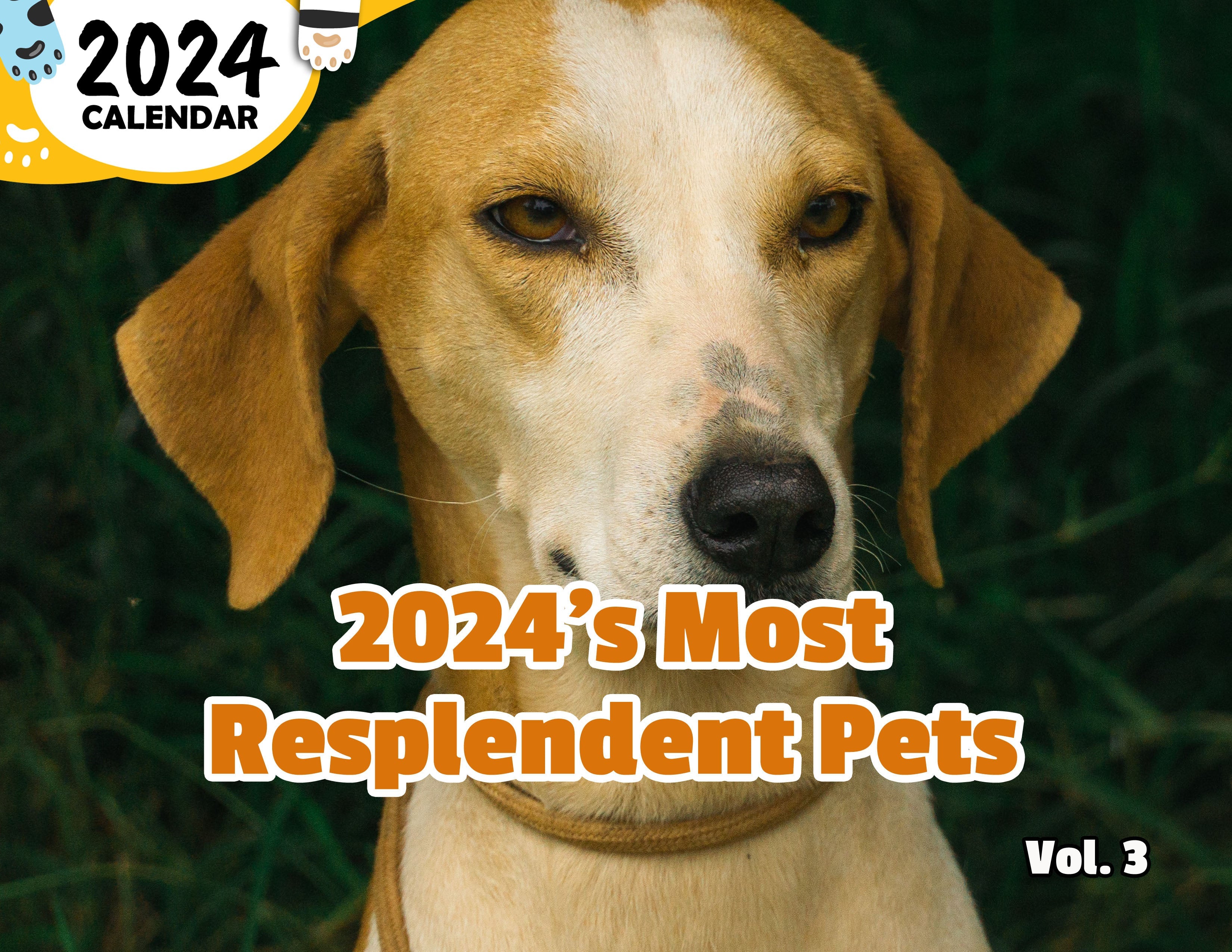 2024's Most Resplendent Pets Volume Three: 2024 Wall Calendar (Published)