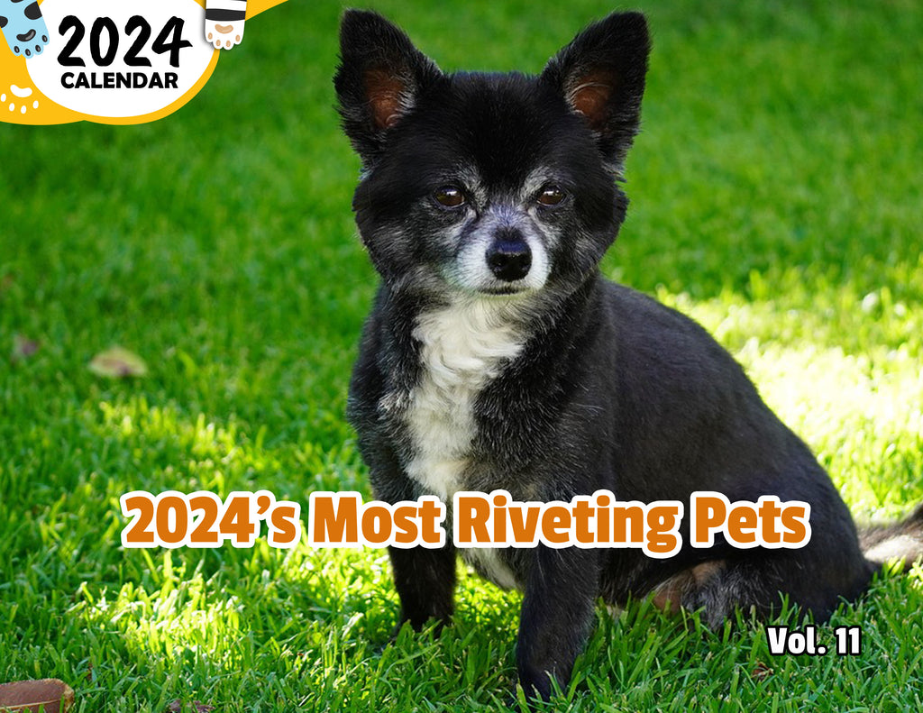 2024's Most Riveting Pets Volume Eleven: 2024 Wall Calendar (Published)