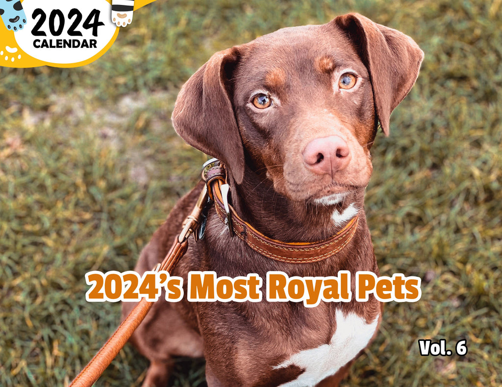 2024's Most Royal Pets Volume Six: 2024 Wall Calendar (Published)
