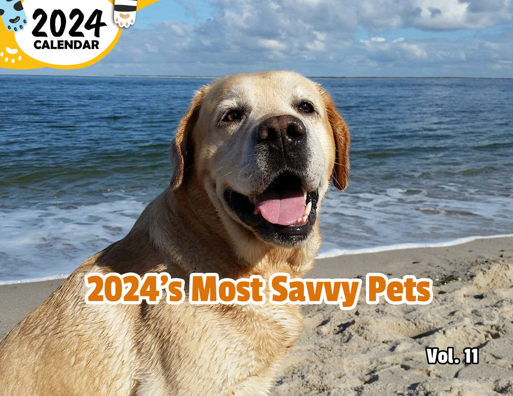 2024's Most Savvy Pets Volume Eleven: 2024 Wall Calendar (Published)