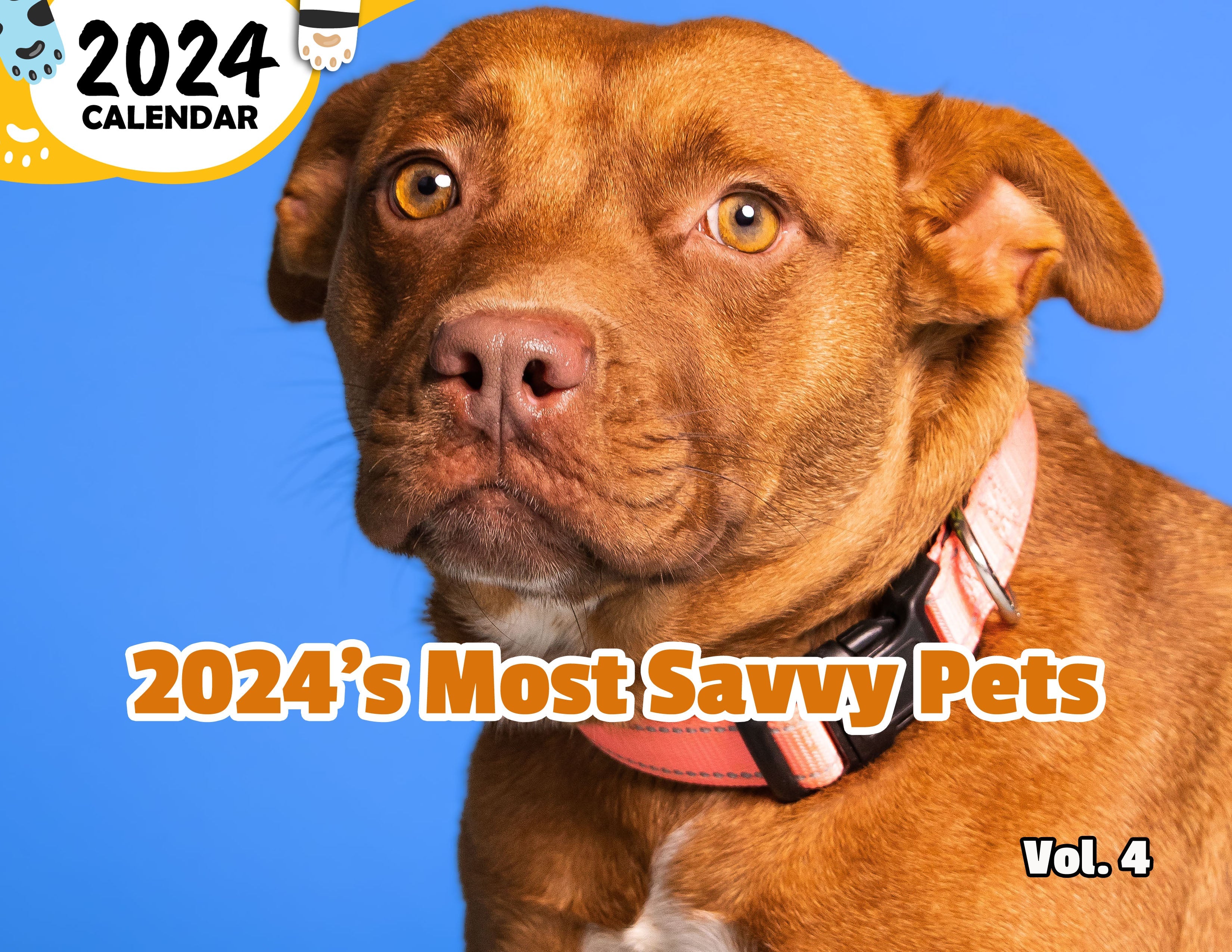 2024's Most Savvy Pets Volume Four: 2024 Wall Calendar (Published)