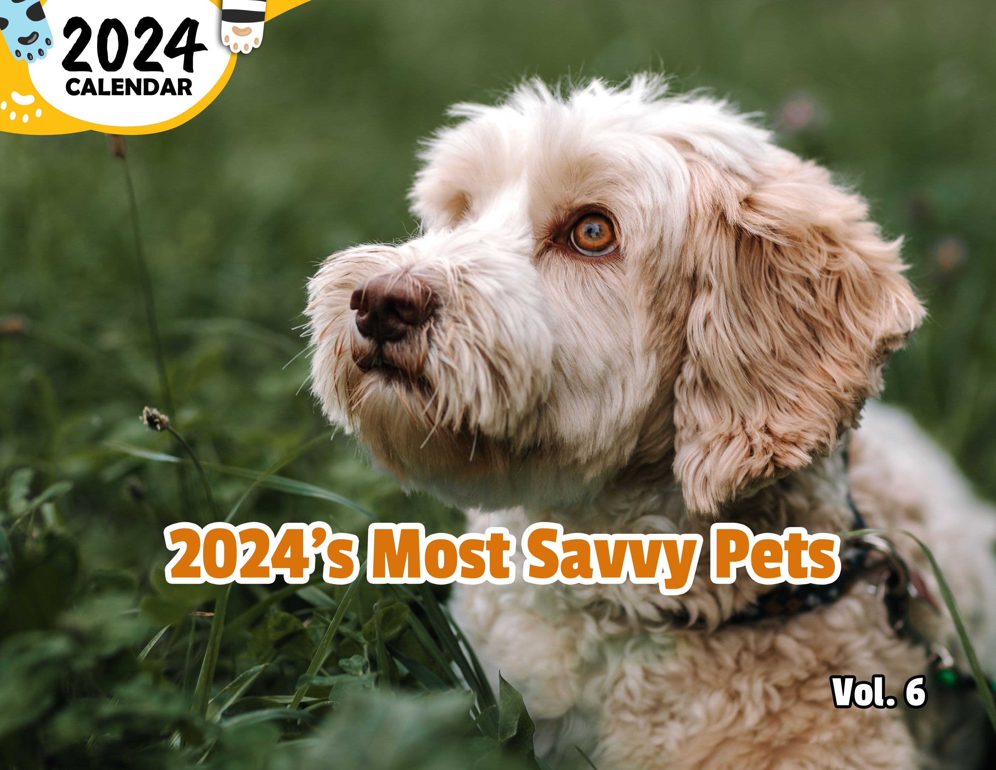 2024's Most Savvy Pets Volume Six: 2024 Wall Calendar (Published)