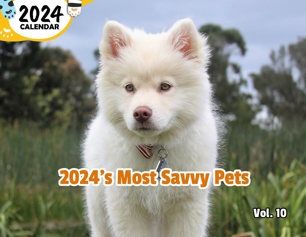 2024's Most Savvy Pets Volume Ten: 2024 Wall Calendar (Published)