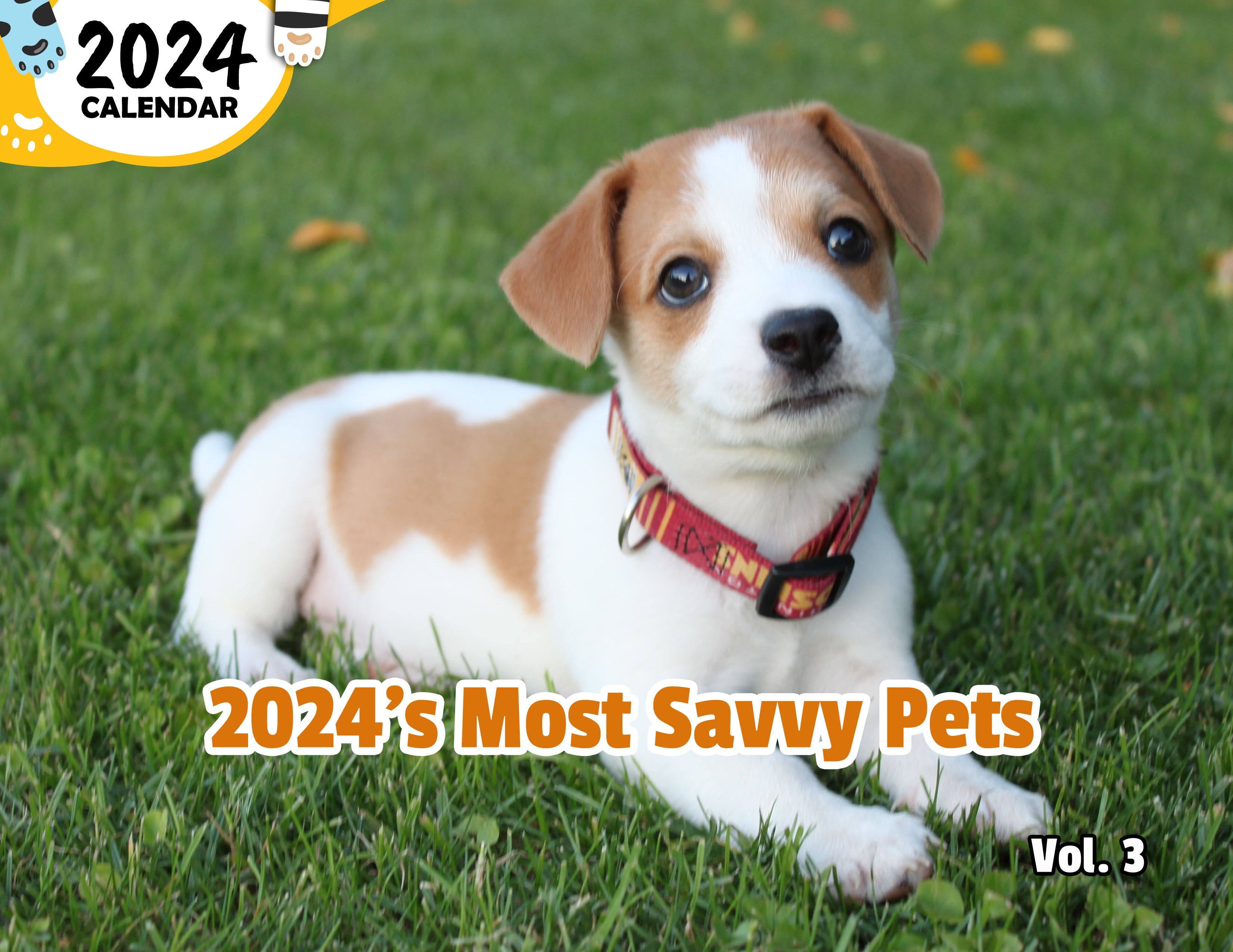 2024's Most Savvy Pets Volume Three: 2024 Wall Calendar (Published)