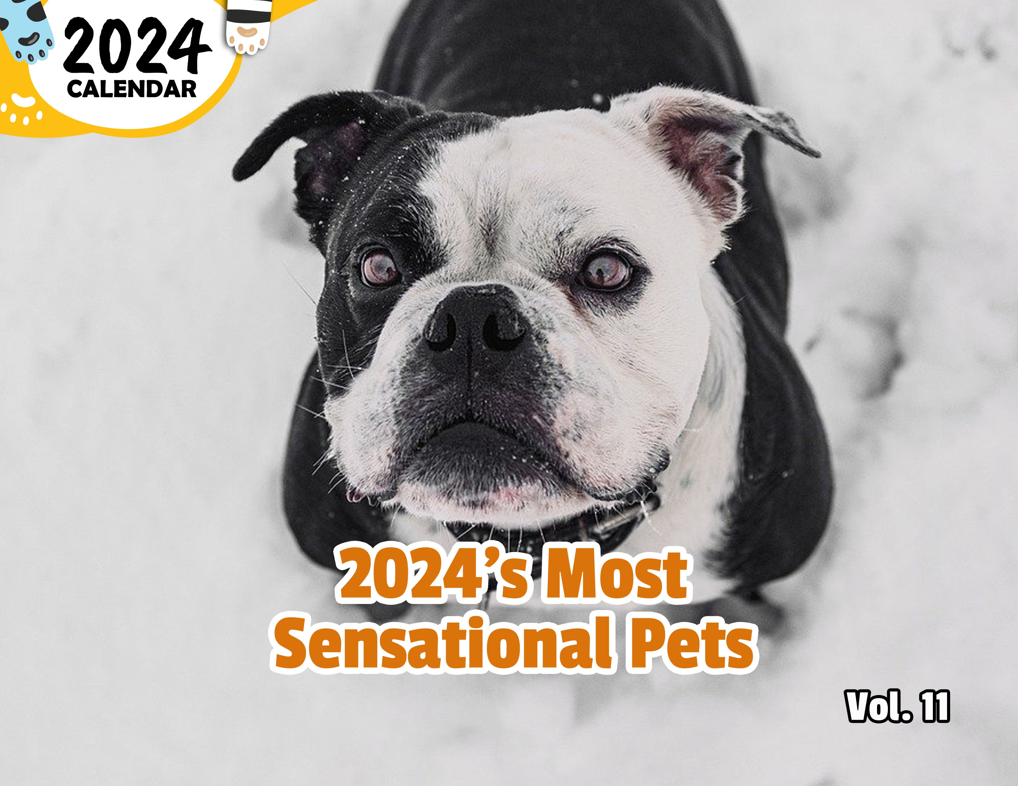 2024's Most Sensational Pets Volume Eleven: 2024 Wall Calendar (Pre-Order)
