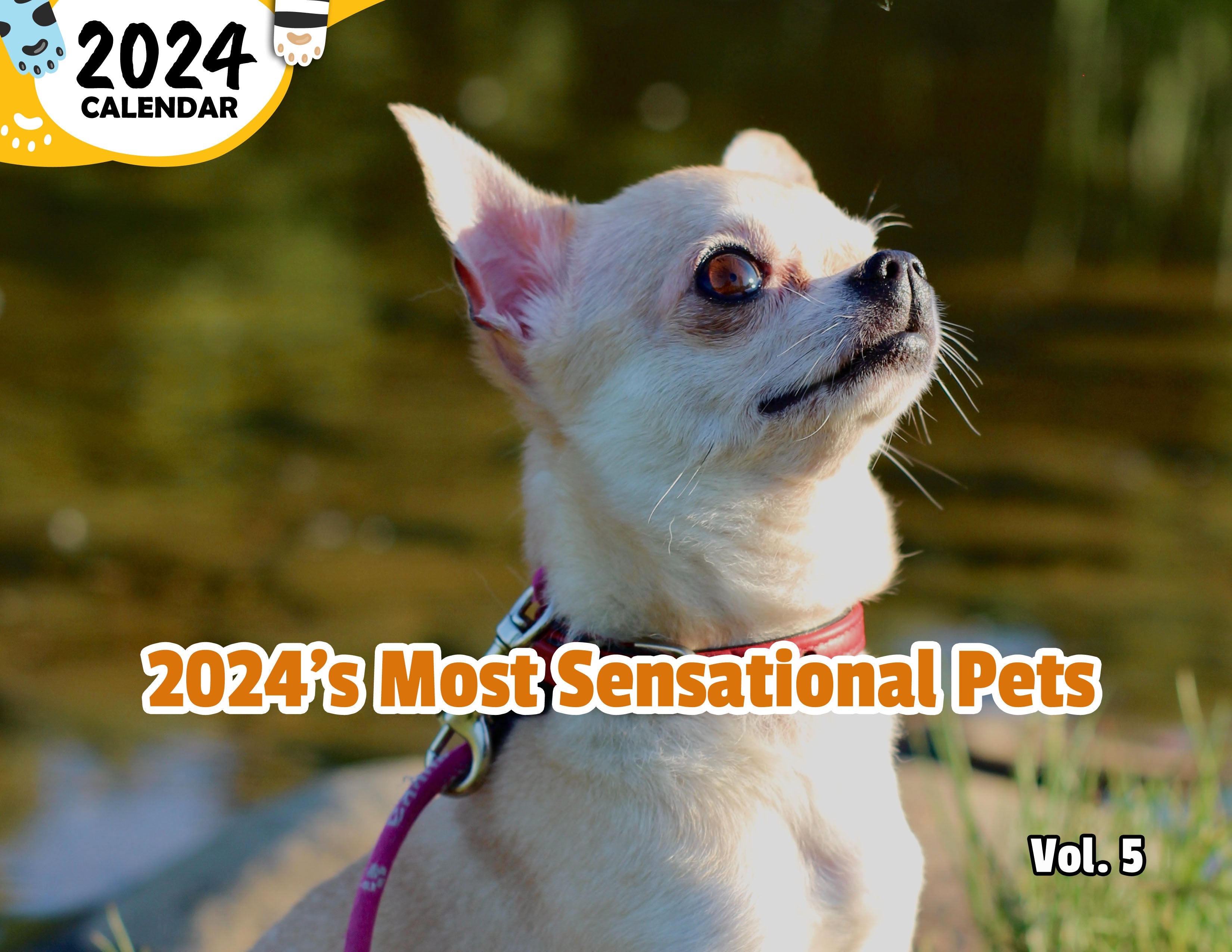 2024's Most Sensational Pets Volume Five: 2024 Wall Calendar (Published)