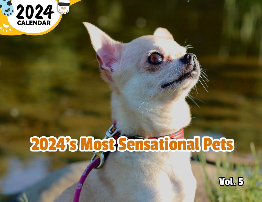 2024's Most Sensational Pets Volume Five: 2024 Wall Calendar (Published)