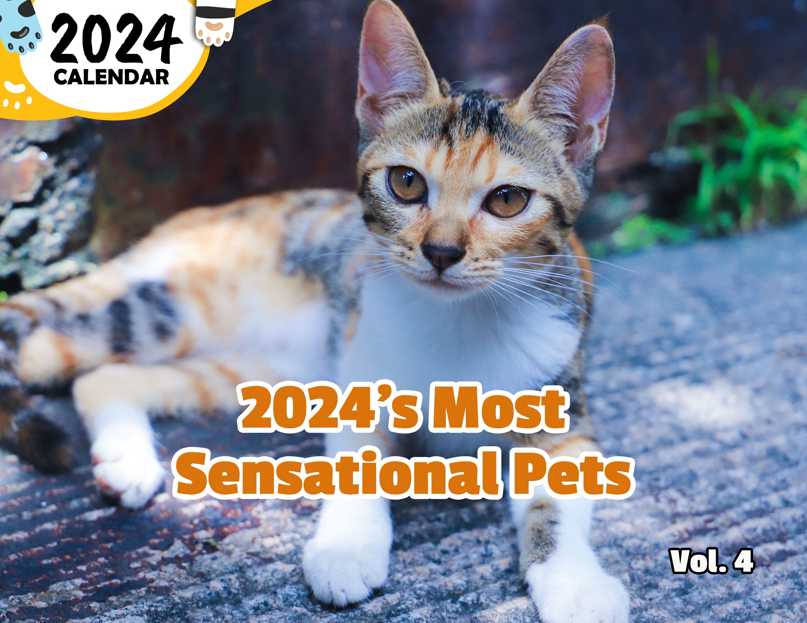 2024's Most Sensational Pets Volume Four: 2024 Wall Calendar (Published)