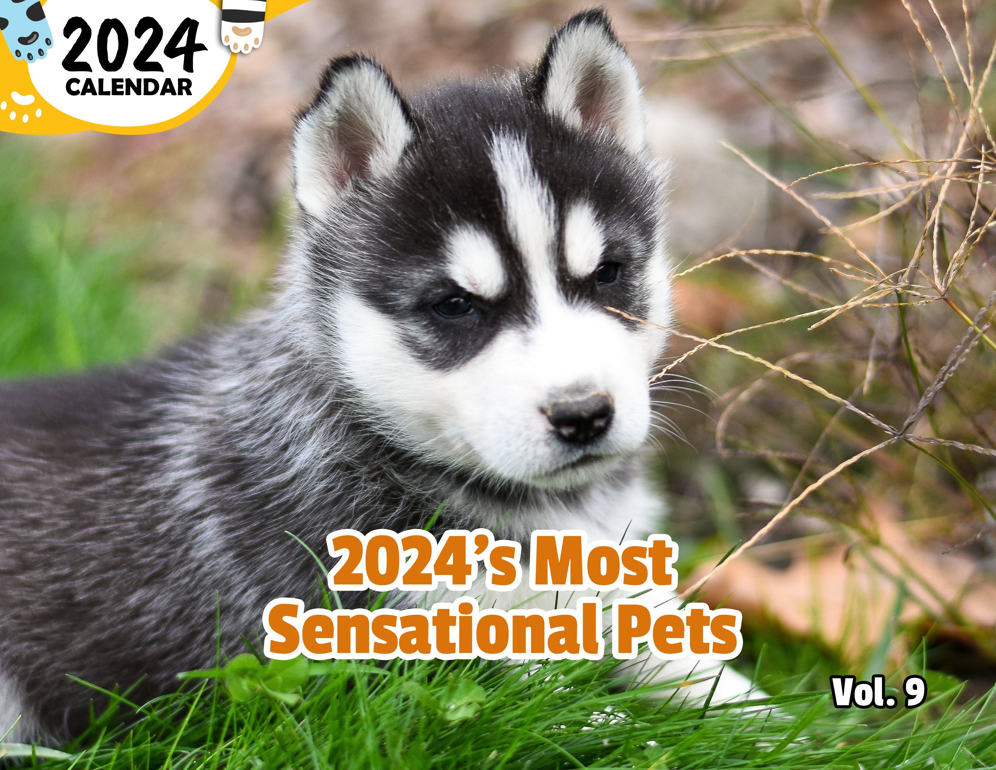 2024's Most Sensational Pets Volume Nine: 2024 Wall Calendar (Published)