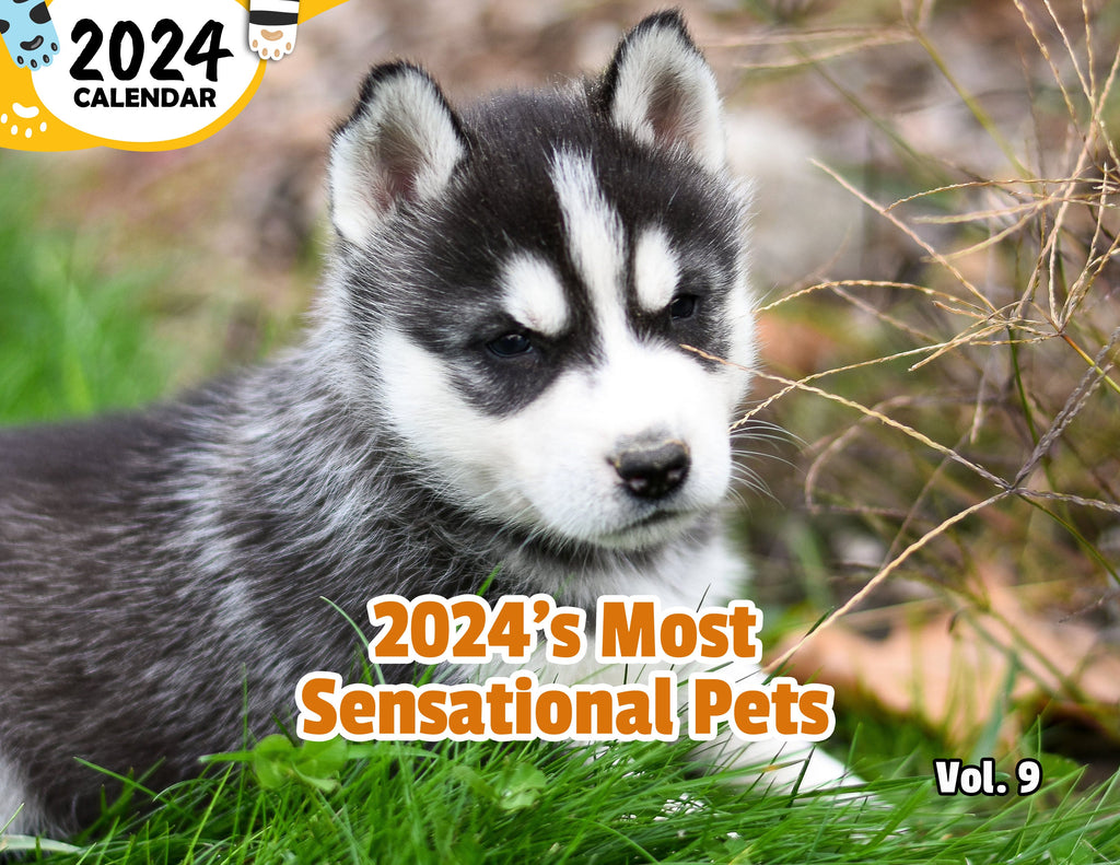 2024's Most Sensational Pets Volume Nine: 2024 Wall Calendar (Published)