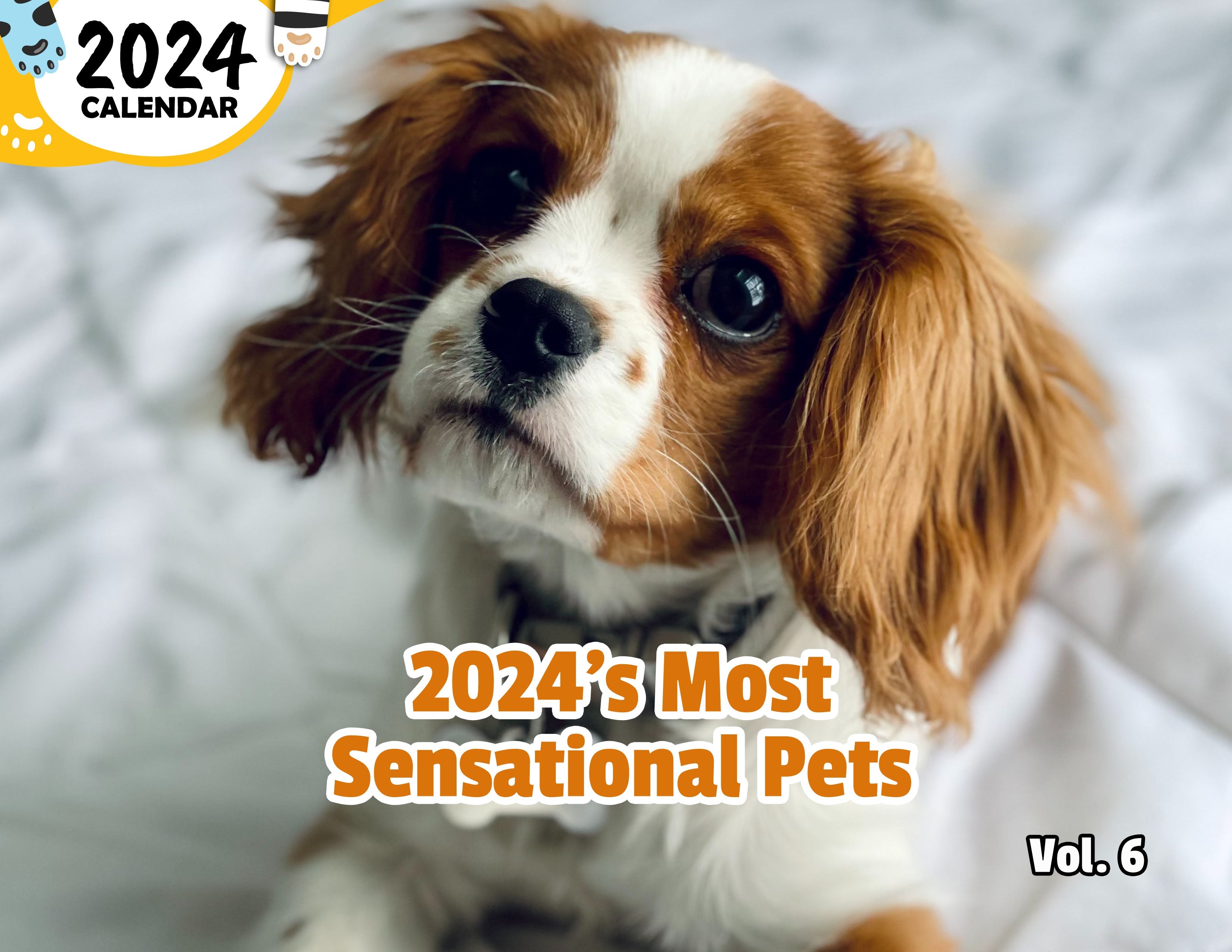 2024's Most Sensational Pets Volume Six: 2024 Wall Calendar (Published)