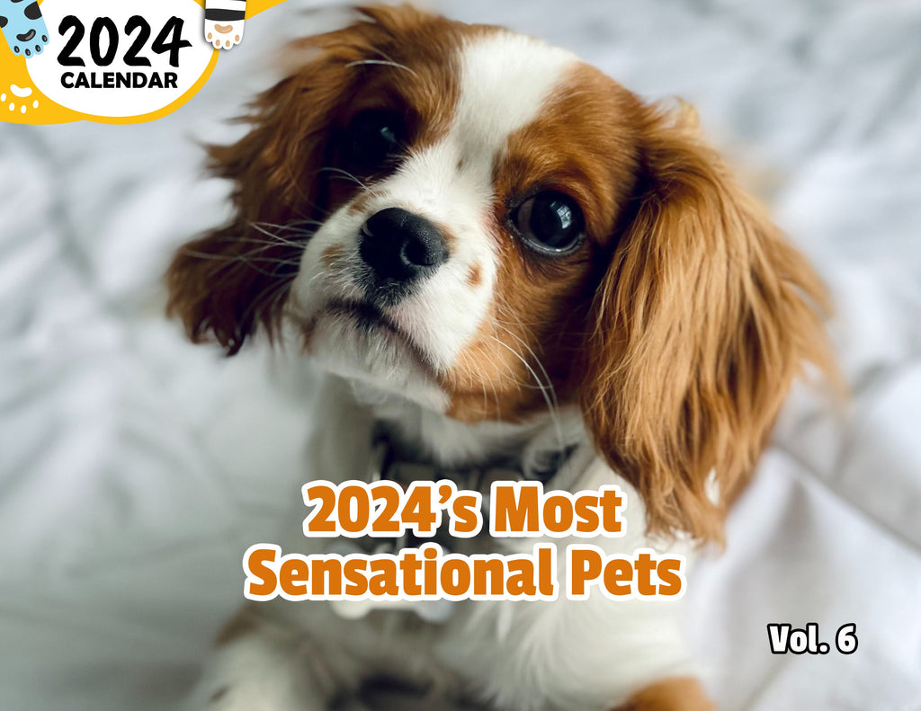 2024's Most Sensational Pets Volume Six: 2024 Wall Calendar (Published)