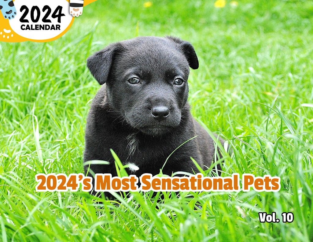 2024's Most Sensational Pets Volume Ten: 2024 Wall Calendar (Published)