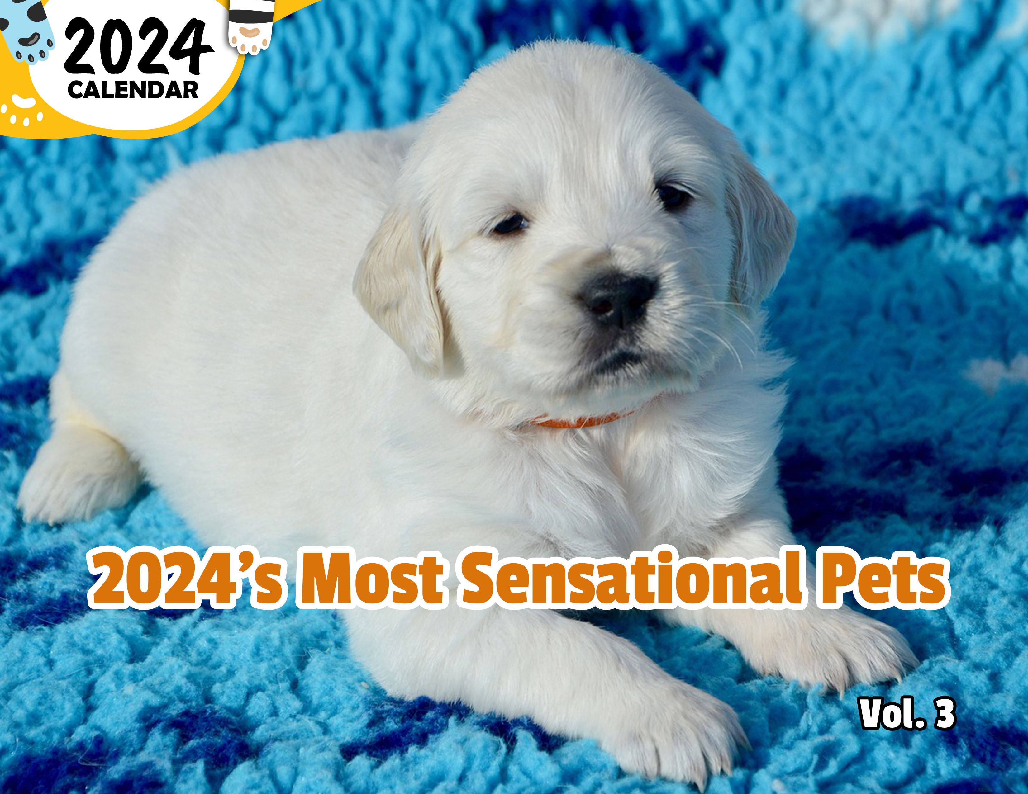 2024's Most Sensational Pets Volume Three: 2024 Wall Calendar (Pre-Order)