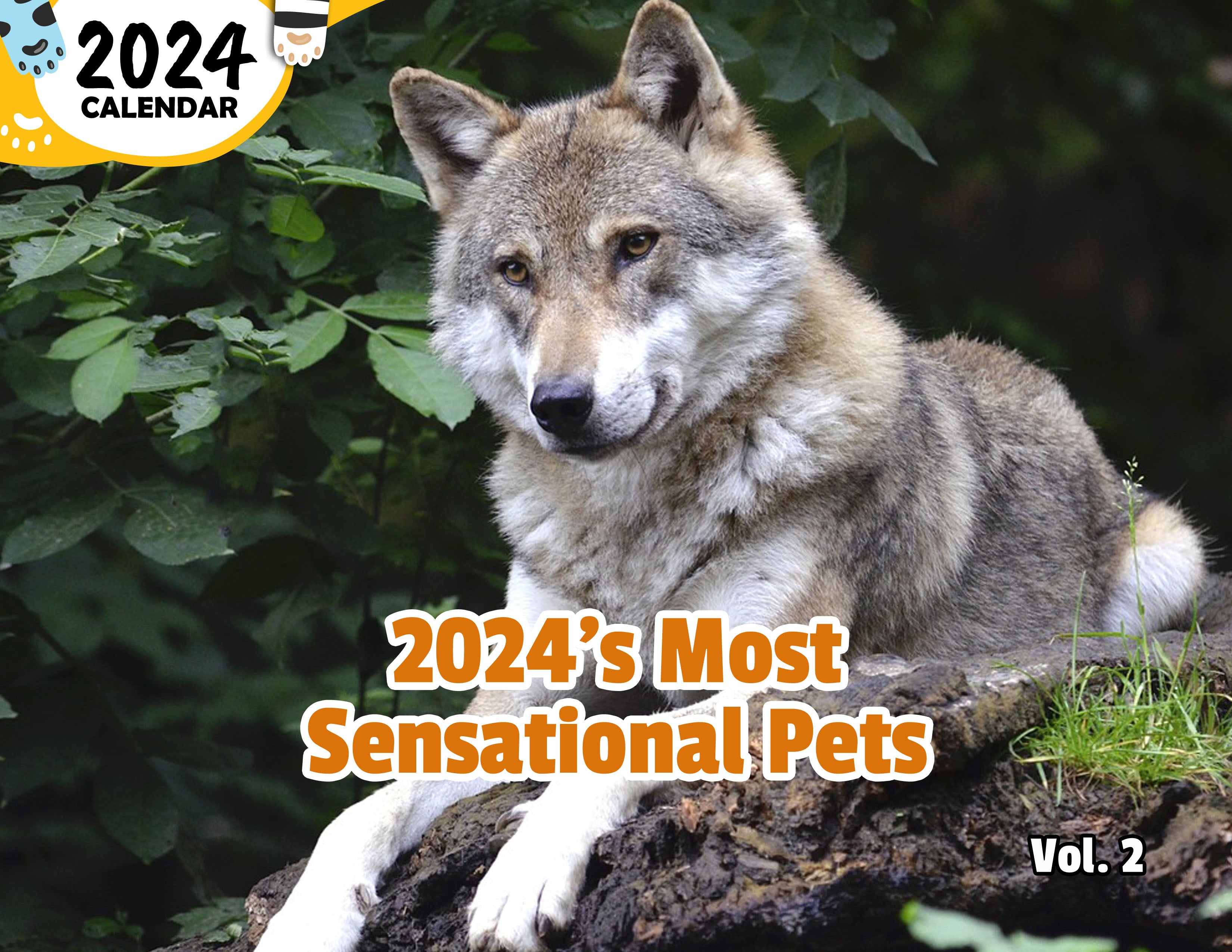 2024's Most Sensational Pets Volume Two: 2024 Wall Calendar (Published)