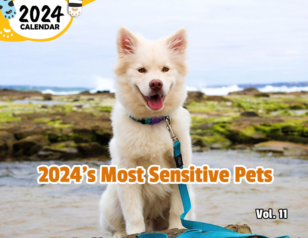 2024's Most Sensitive Pets Volume Eleven: 2024 Wall Calendar (Published)