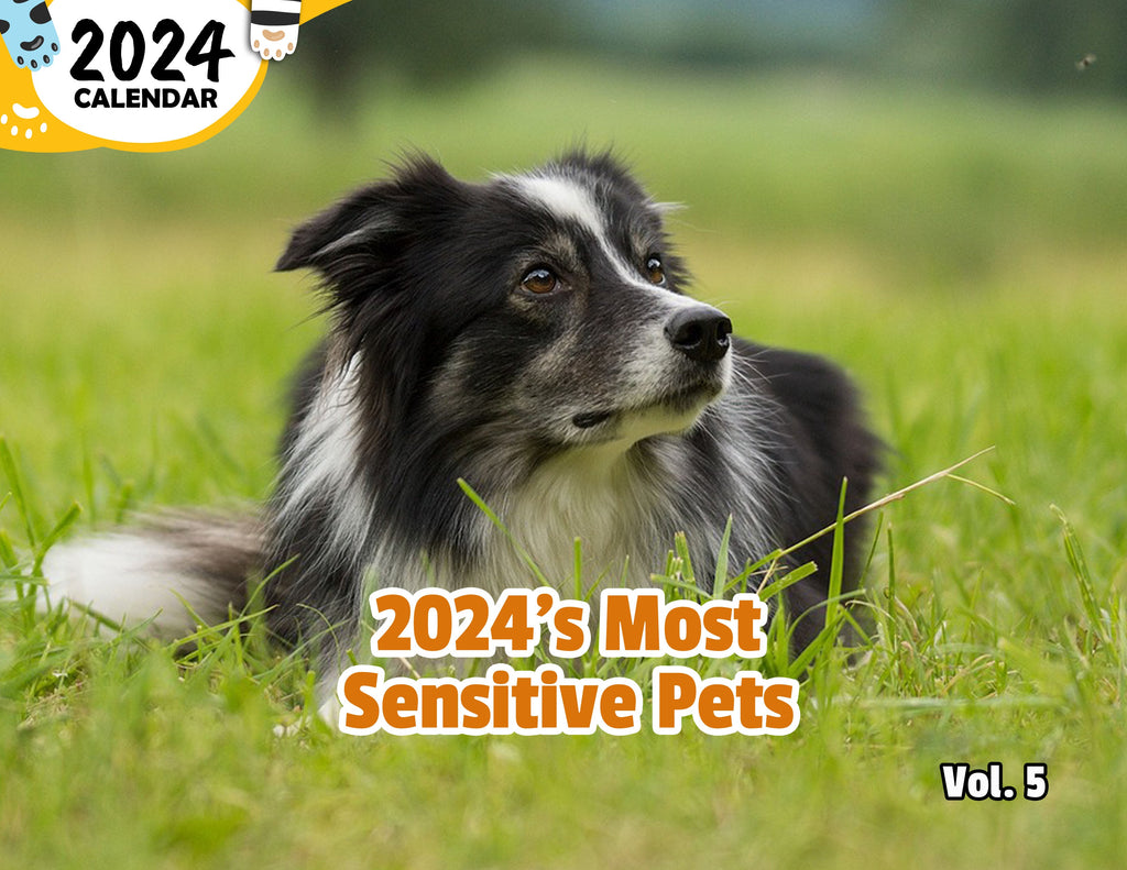 2024's Most Sensitive Pets Volume Five: 2024 Wall Calendar (Published)